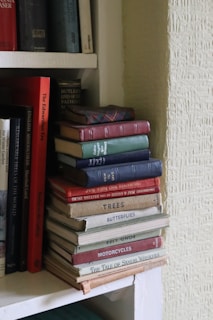Books stack on a shelf in a cozy corner.