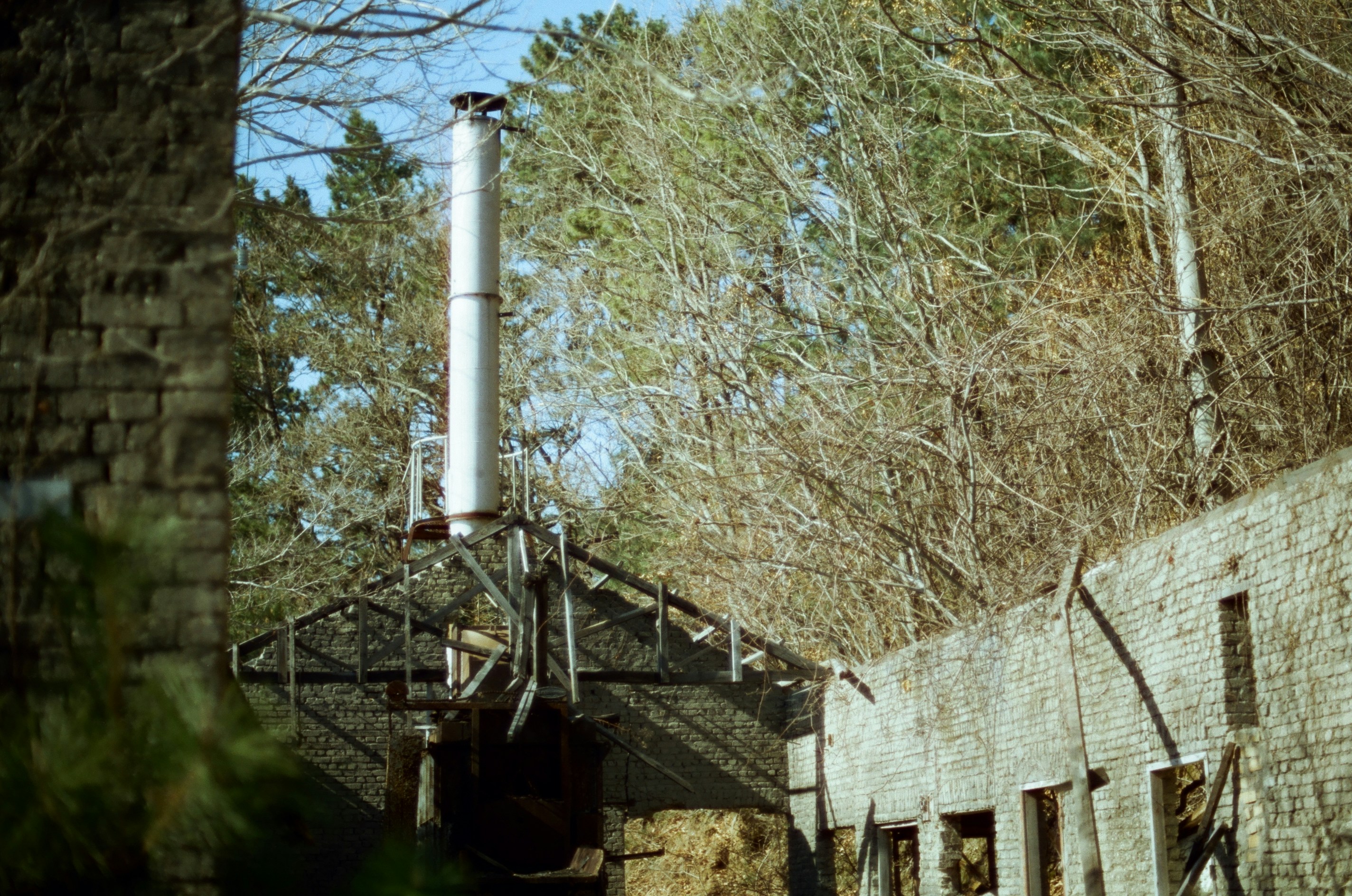 ブラジルの再エネ政策とは？水力・バイオマス・風力の組合せ関連画像