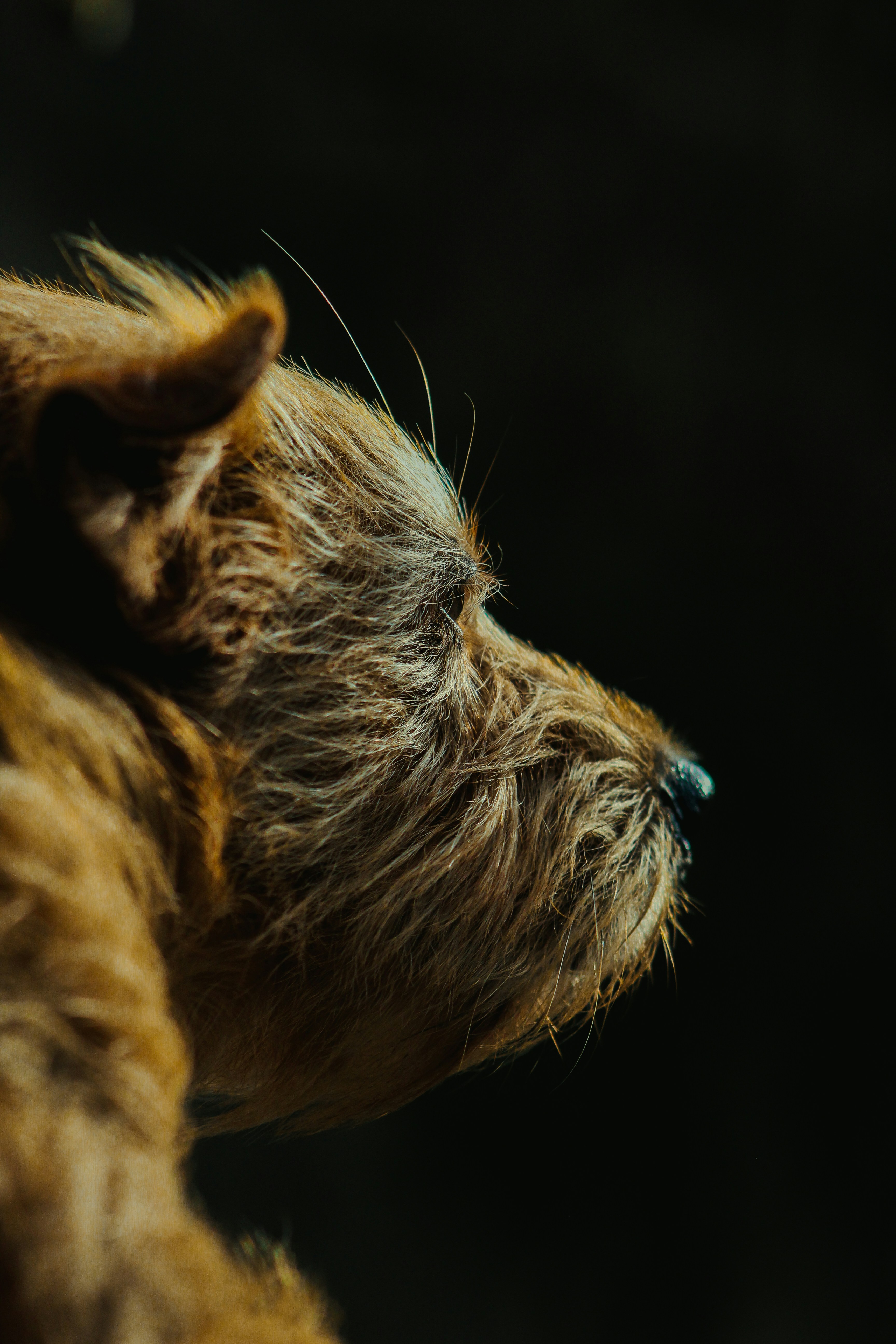 Photo by andrefonsecaa