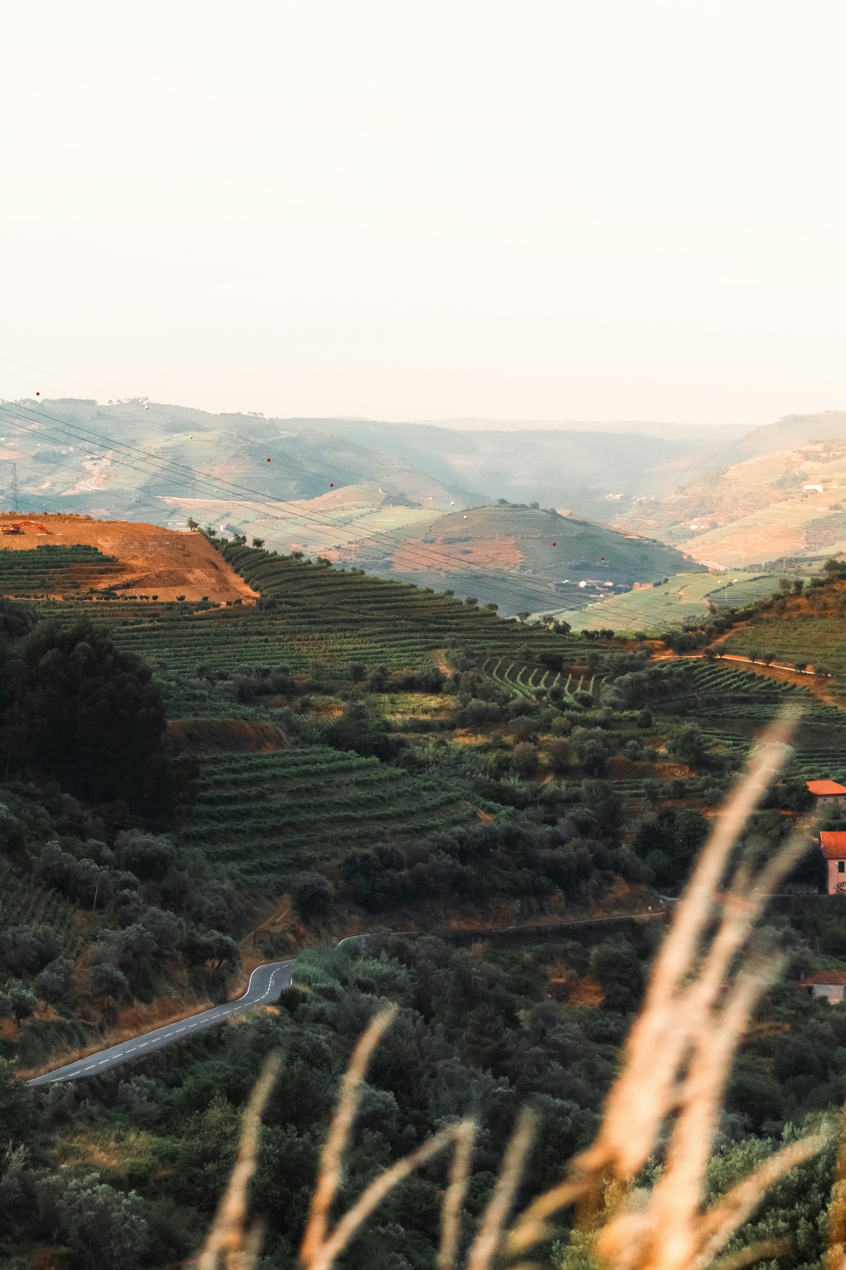 Photo by andrefonsecaa