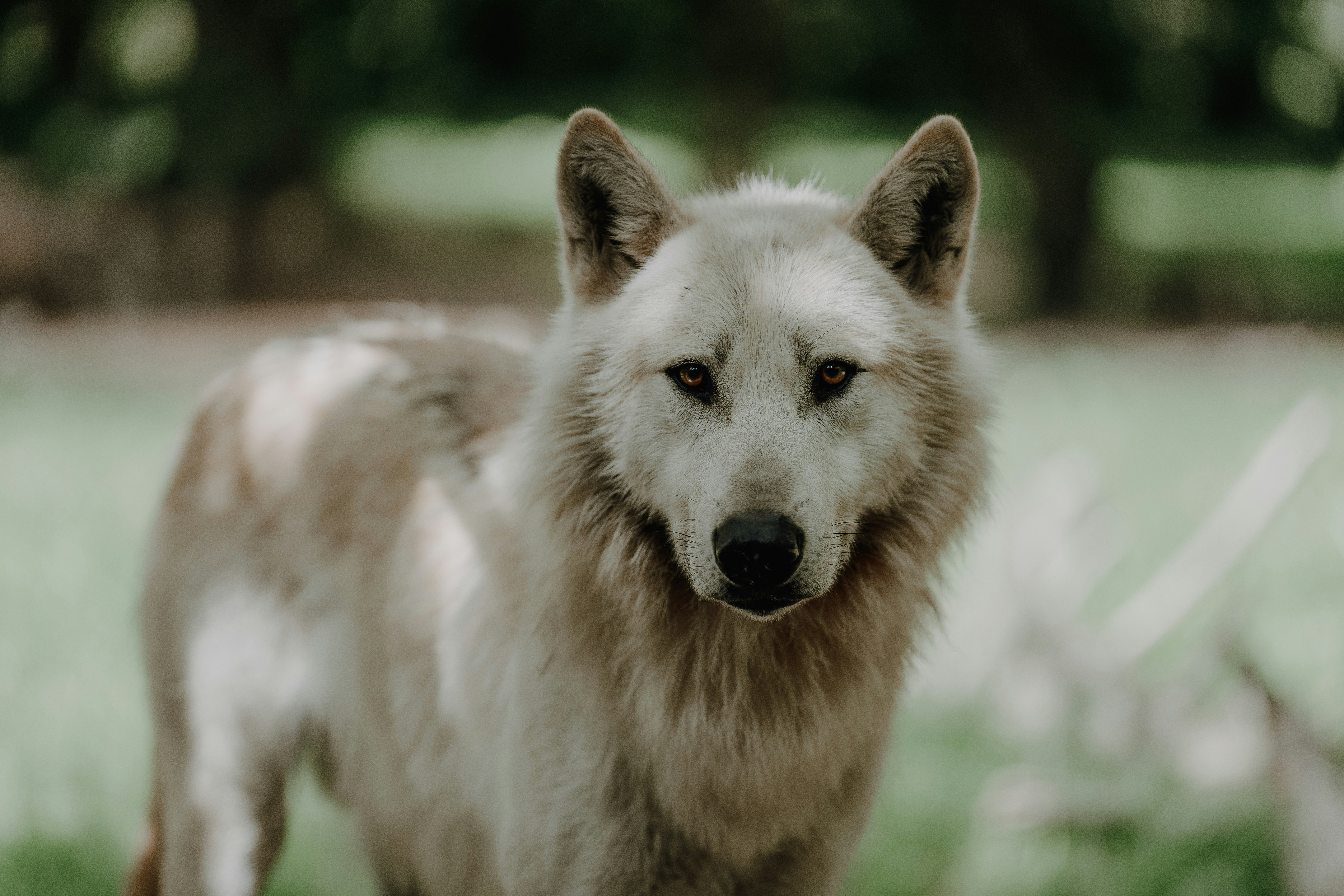 Photo by trfotografi