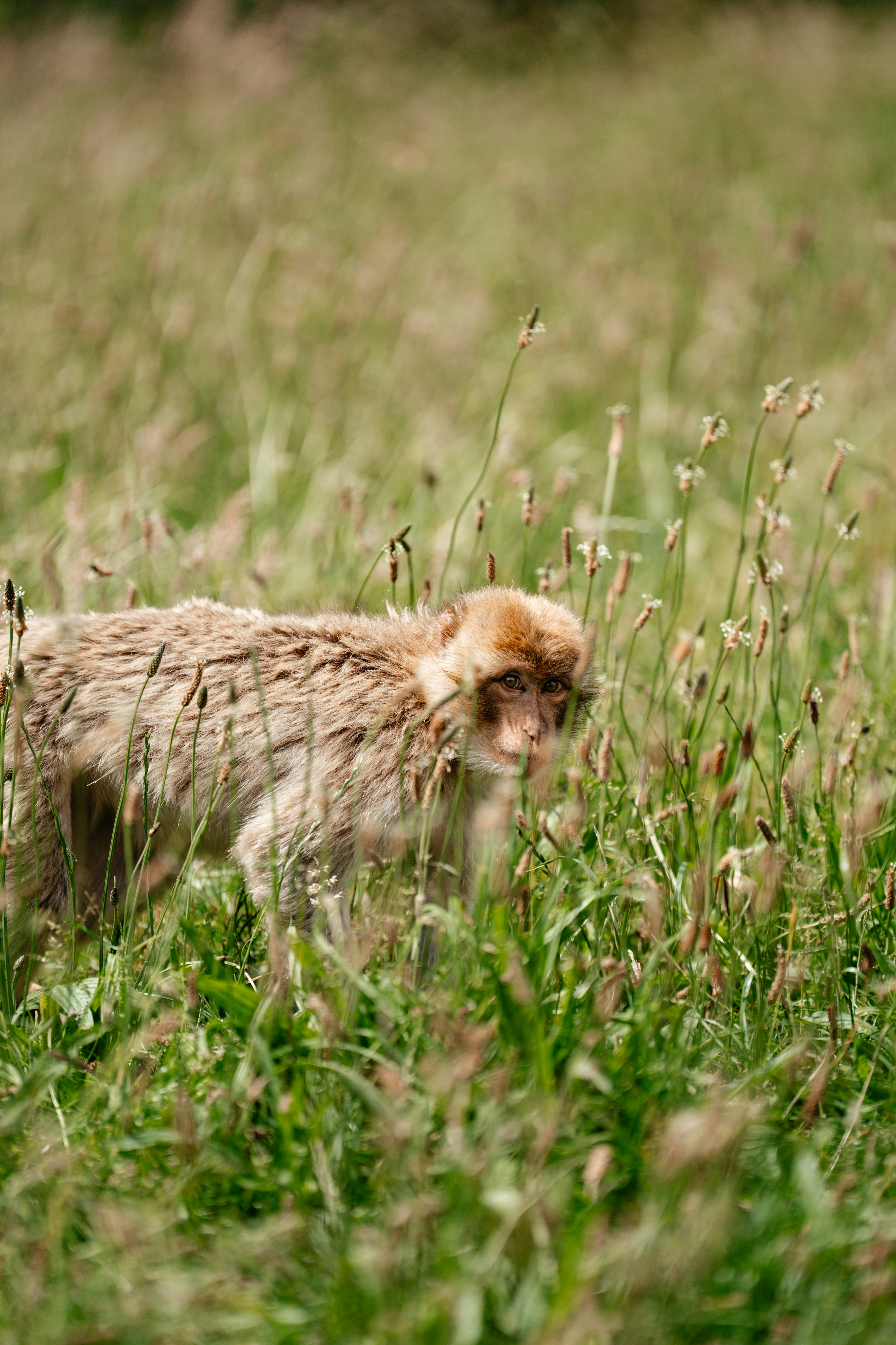 Photo by trfotografi