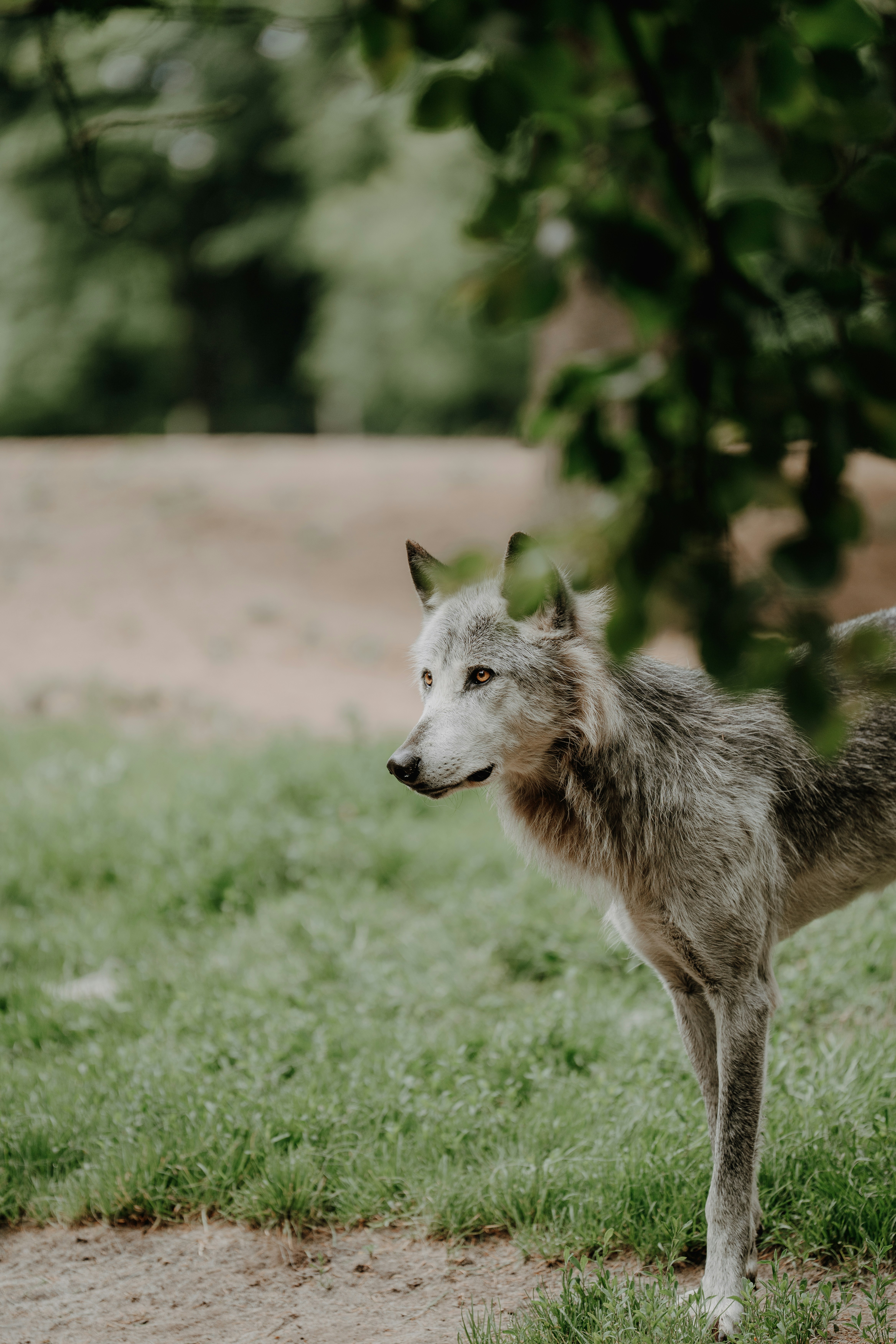 Photo by trfotografi