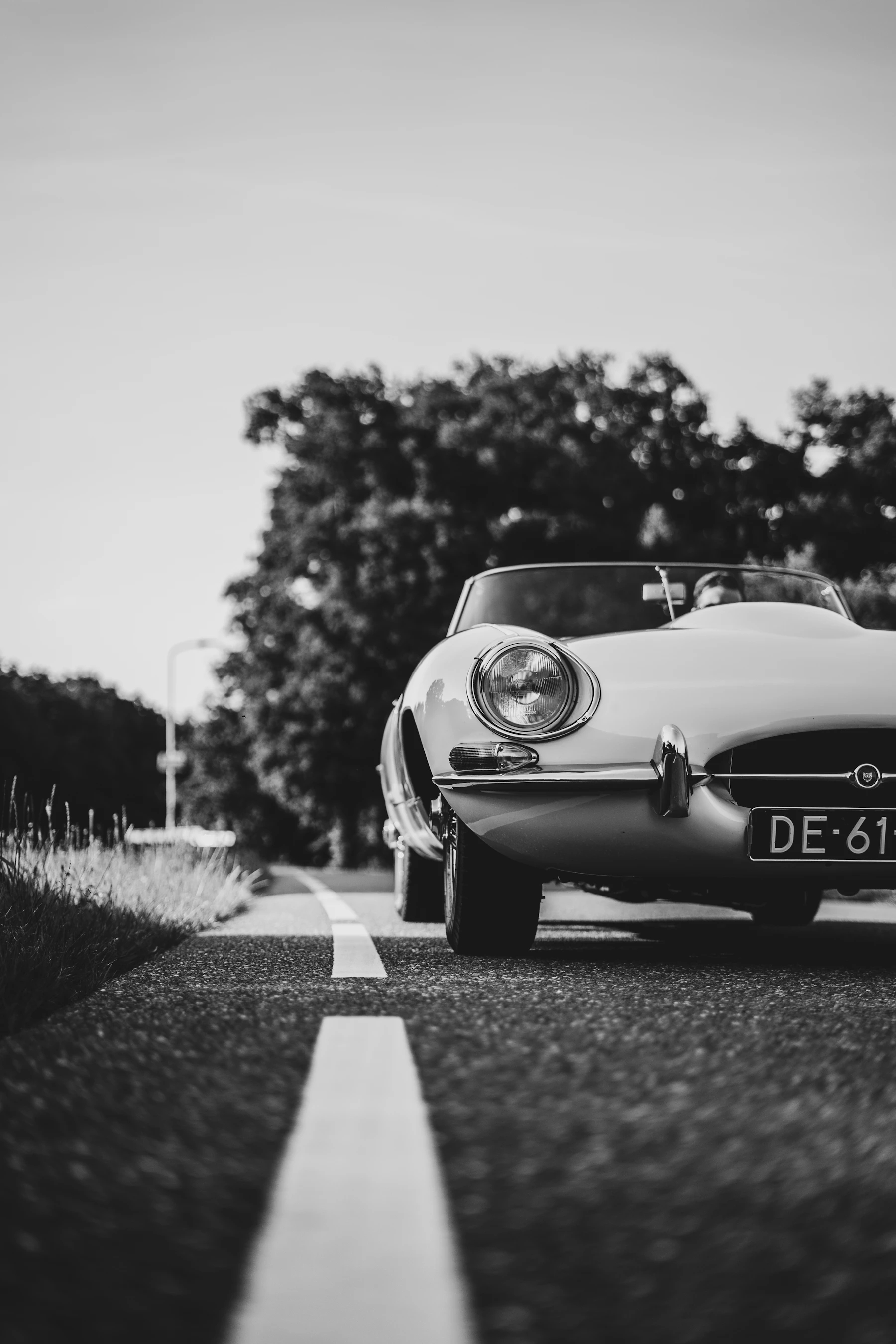 Jaguar clásico británico en carretera