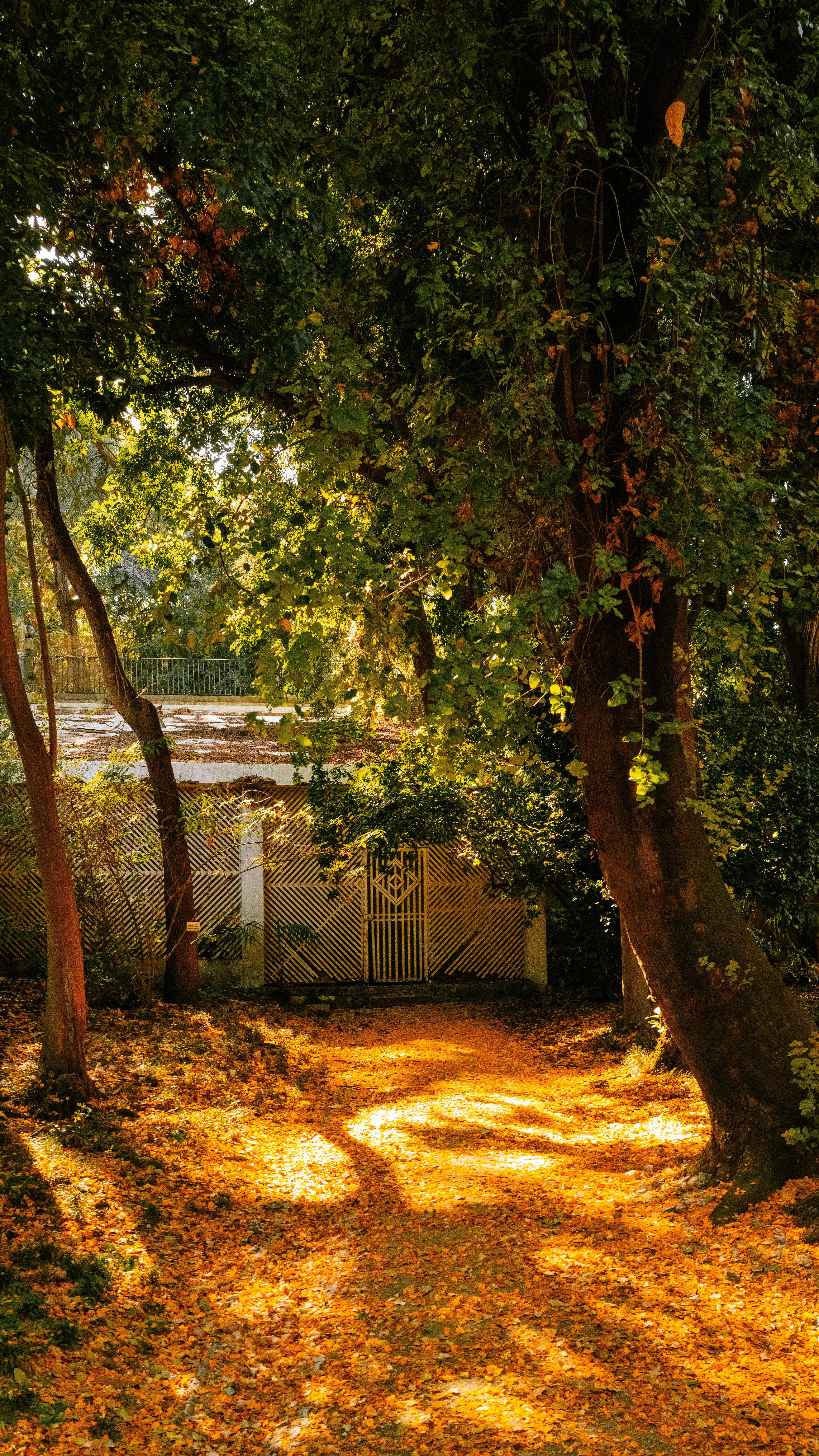 lisbon autumn venue