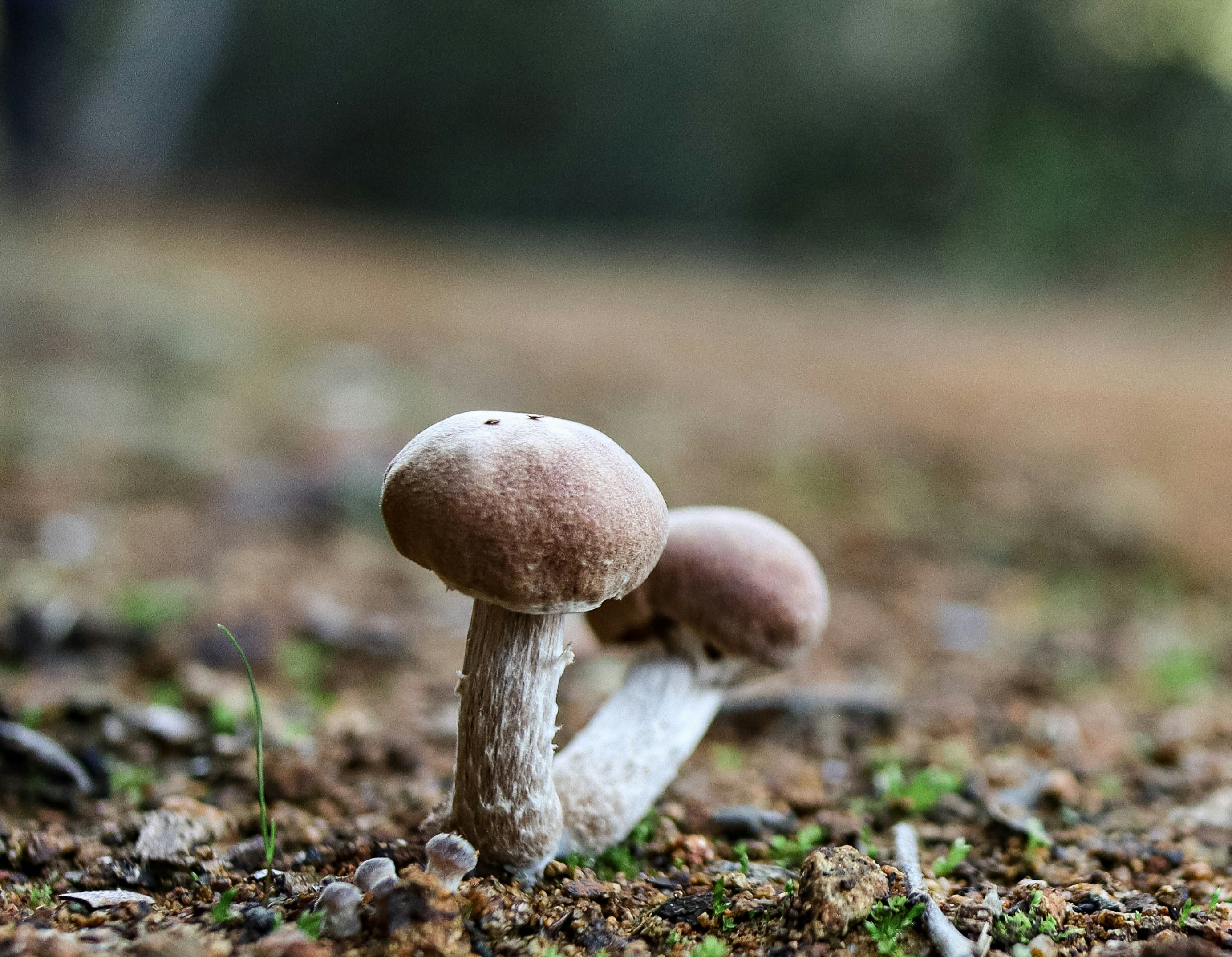 Photo by viajeenparacaidas