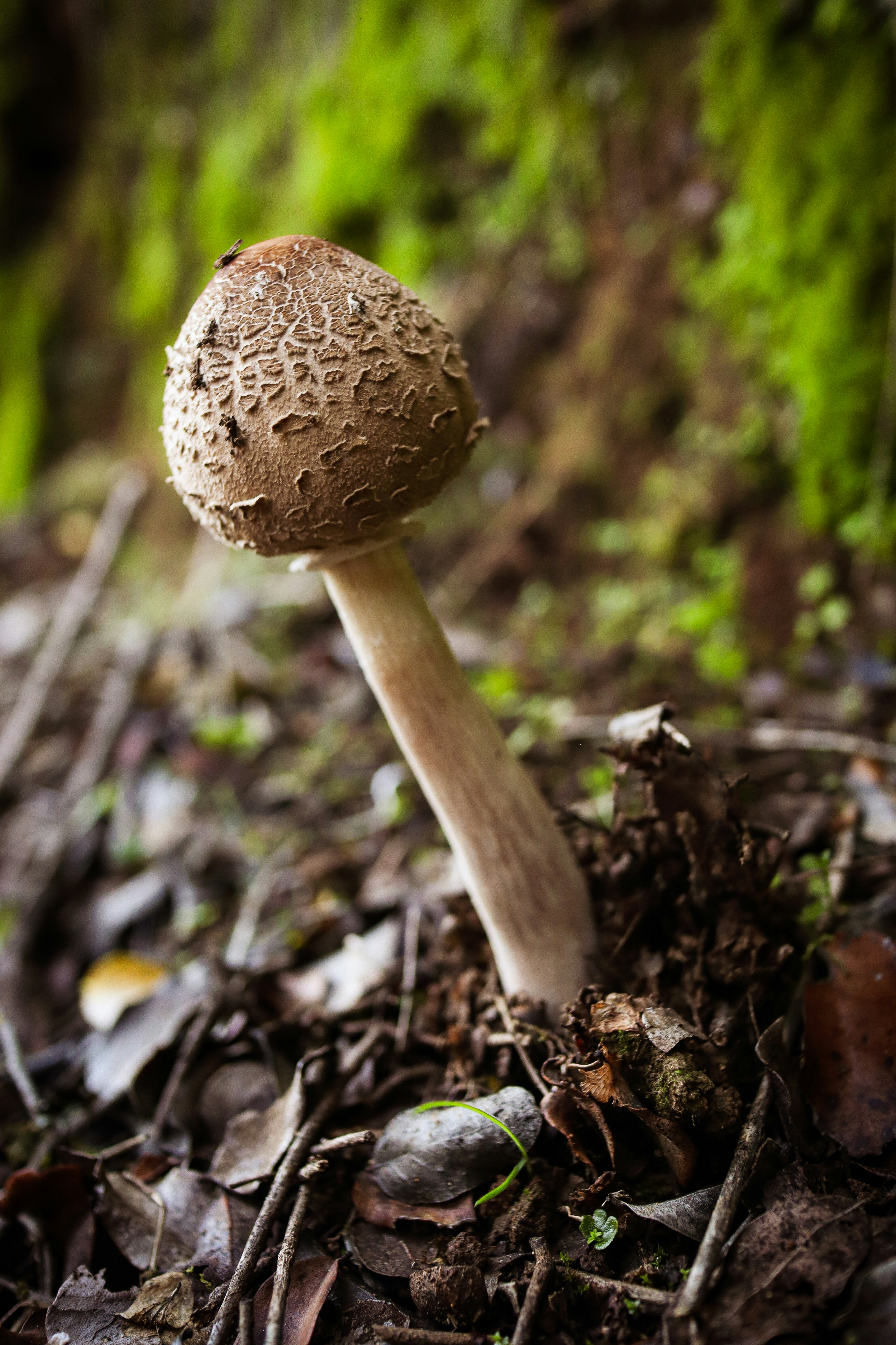 Photo by viajeenparacaidas