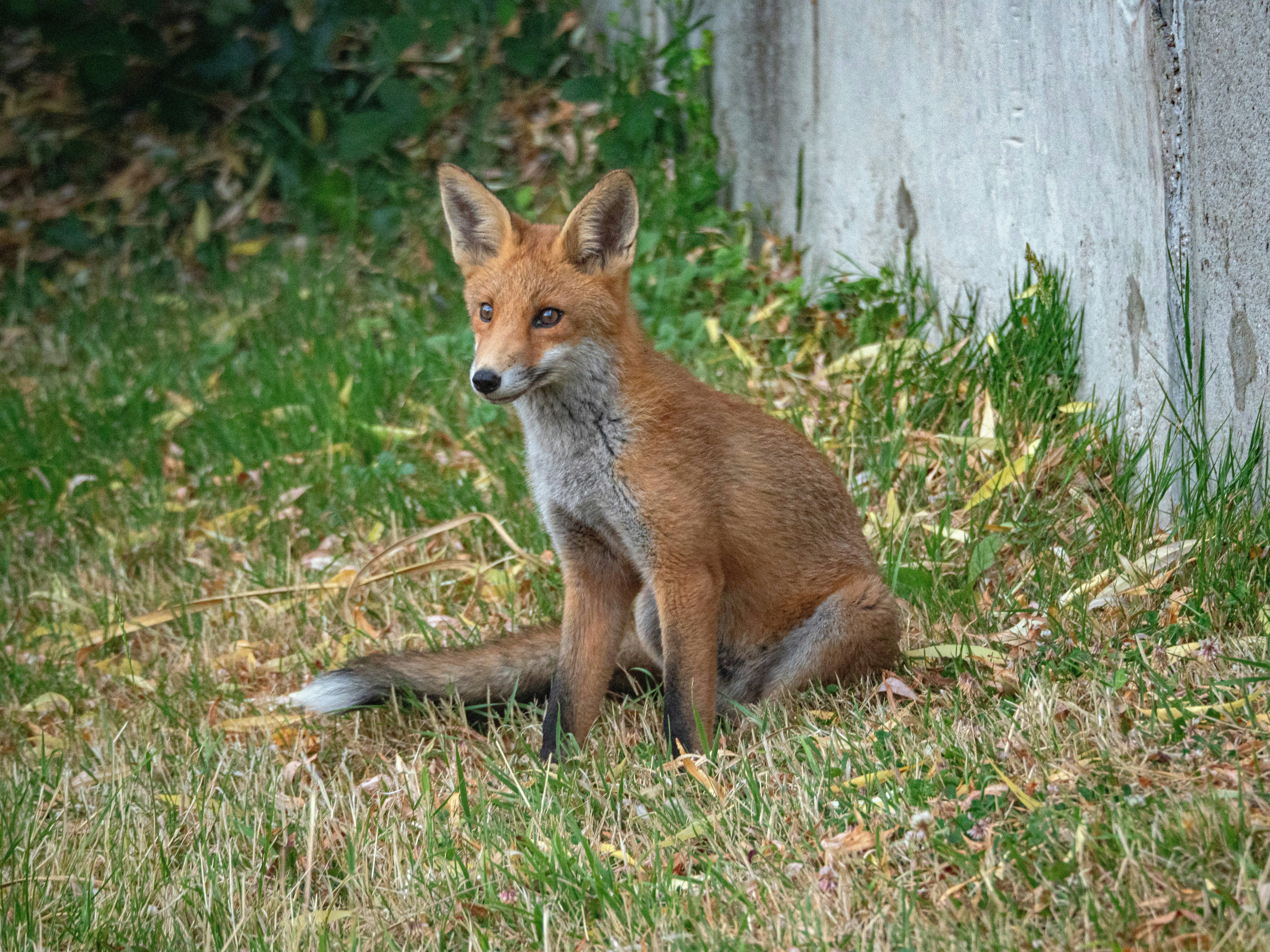 Photo by brett_jordan