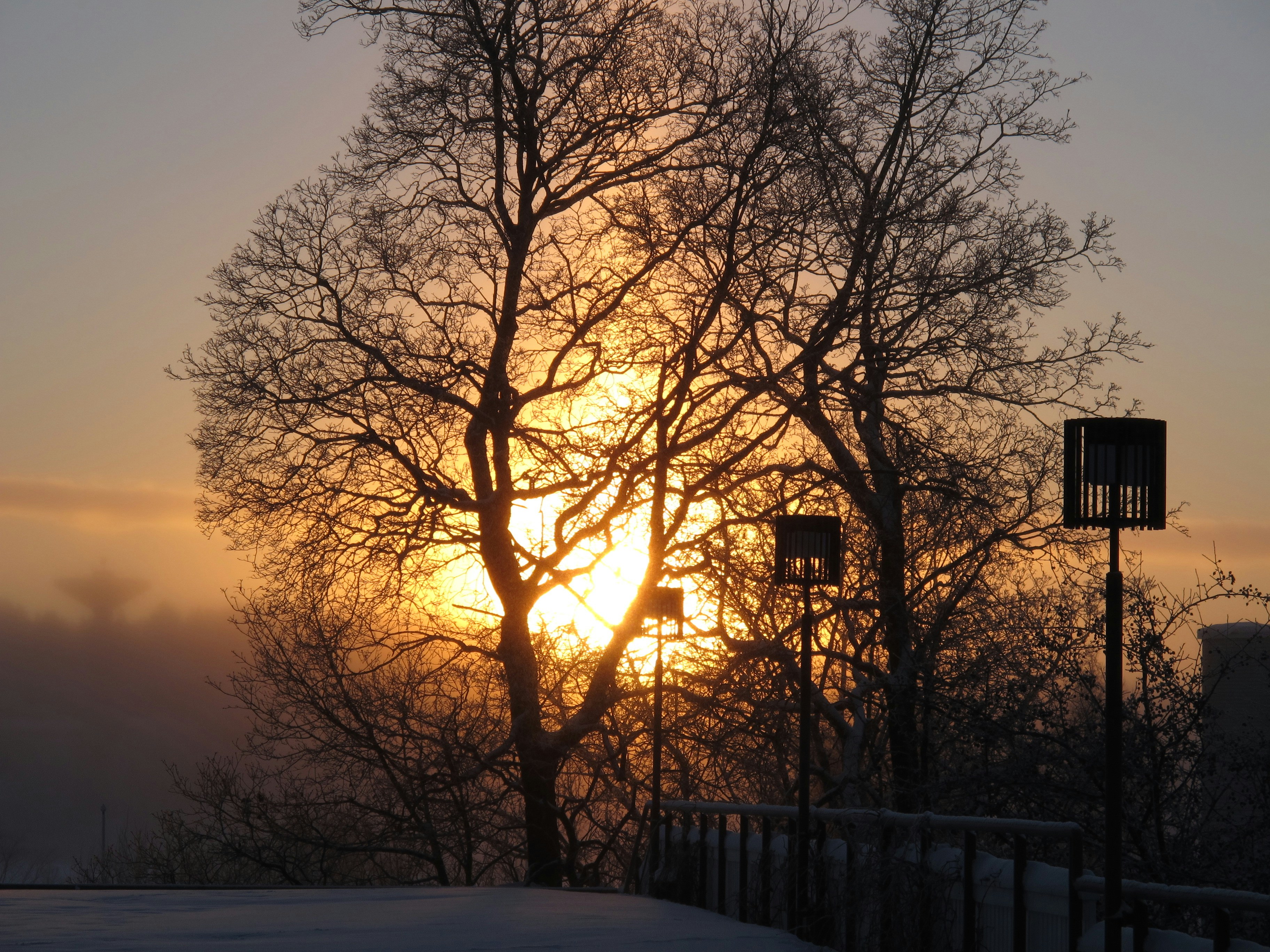 Photo by ceniq