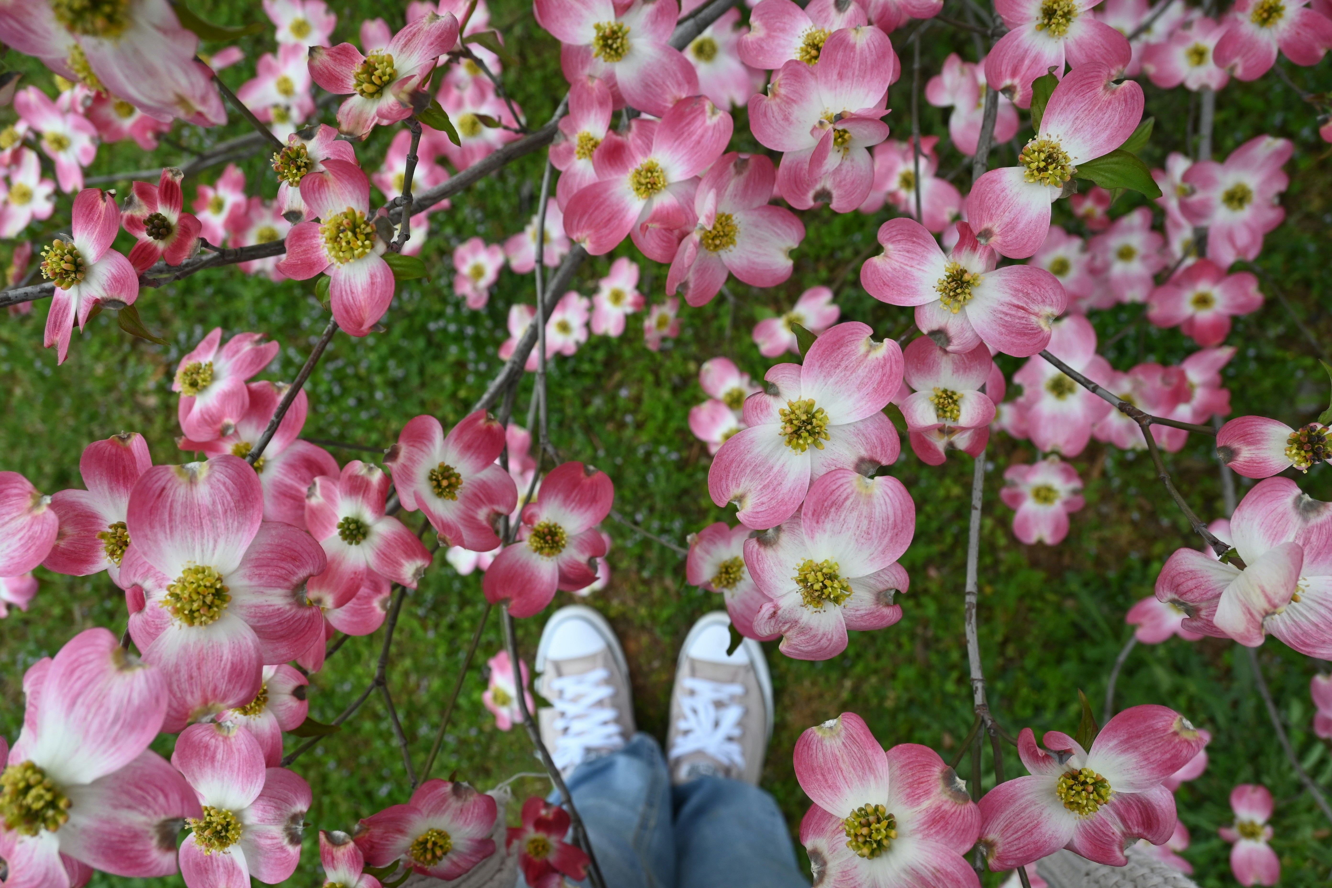 Photo by karolinabobek