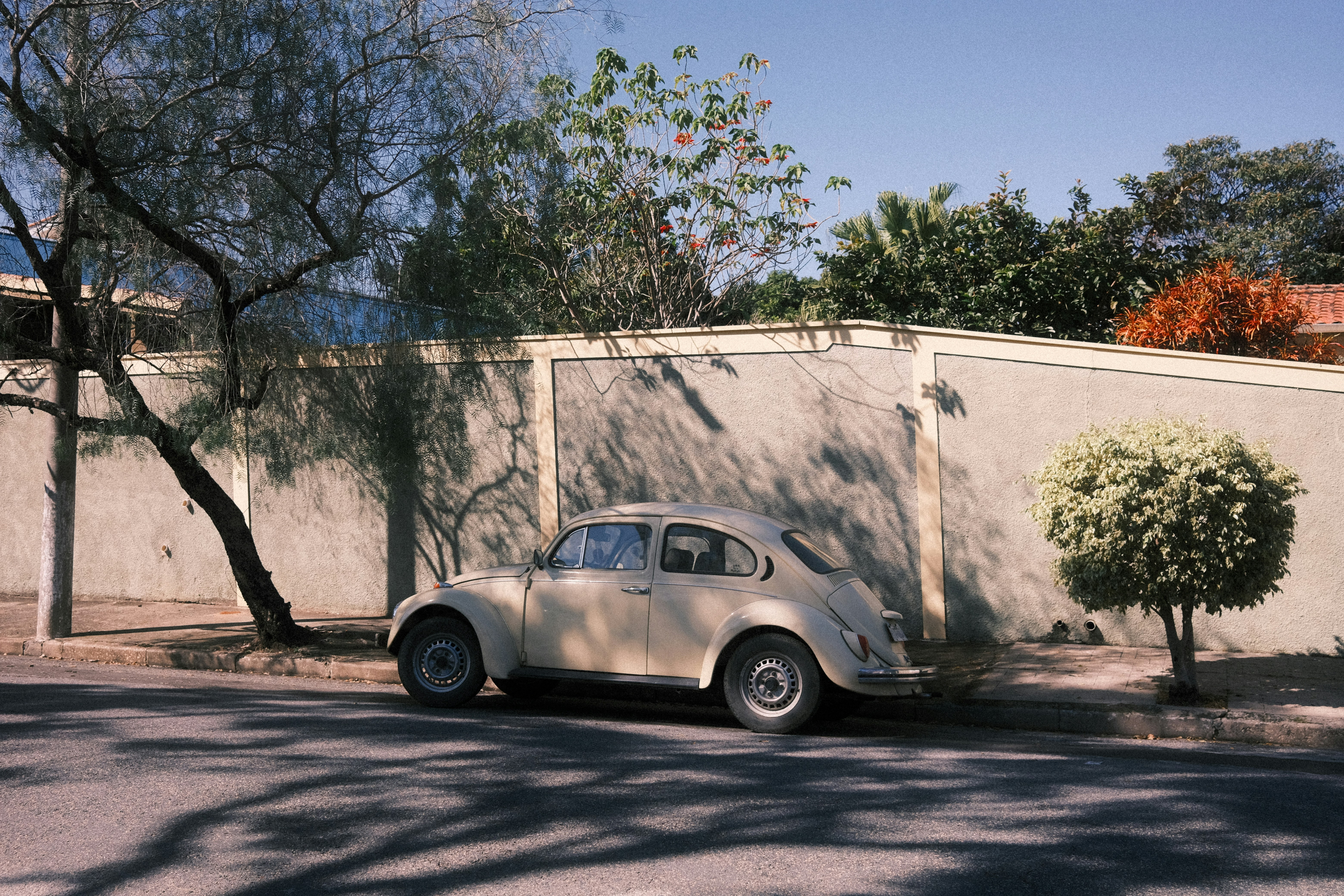 Photo by kenjikatahira