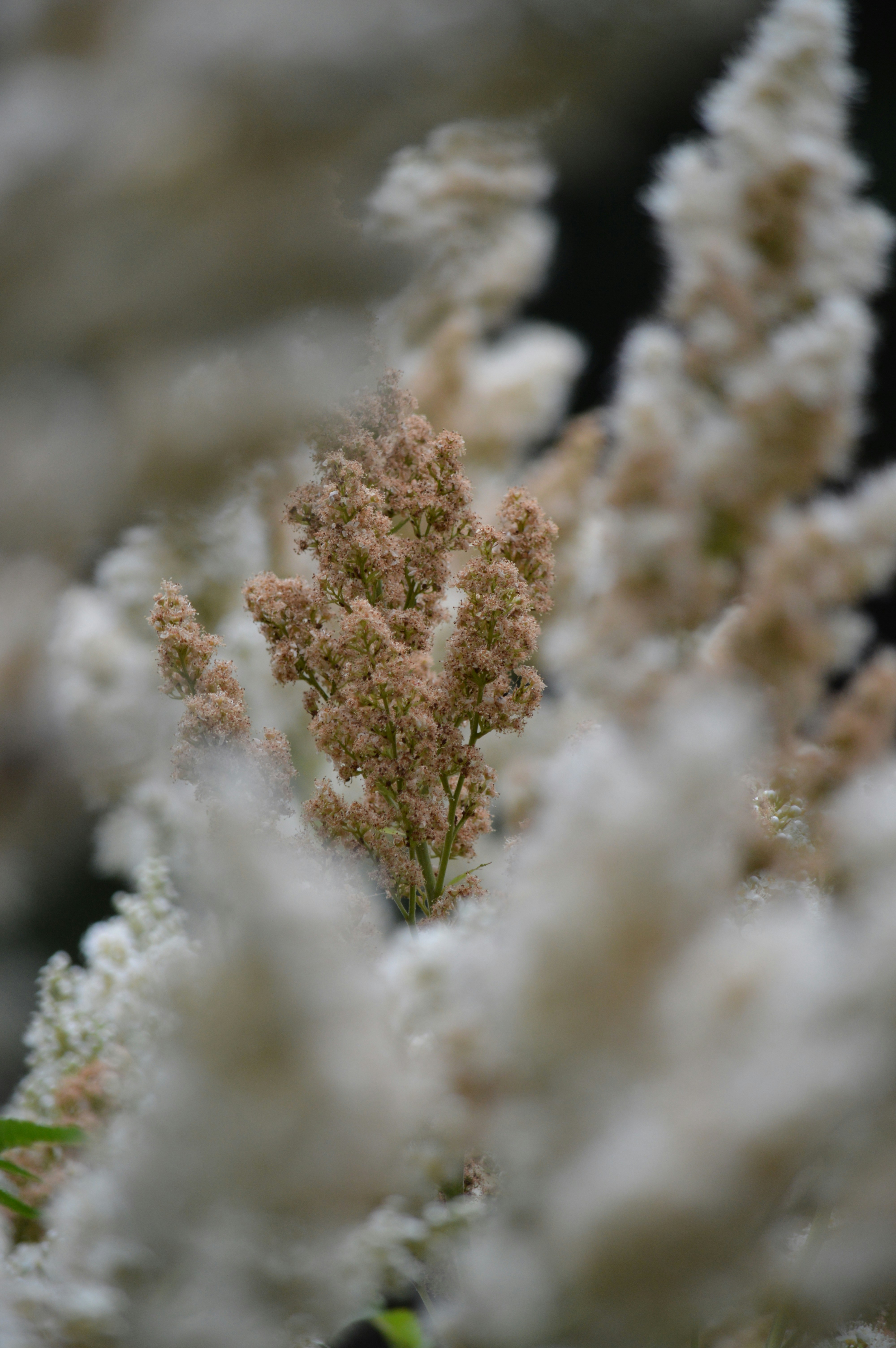 Photo by jennifer_maier_art