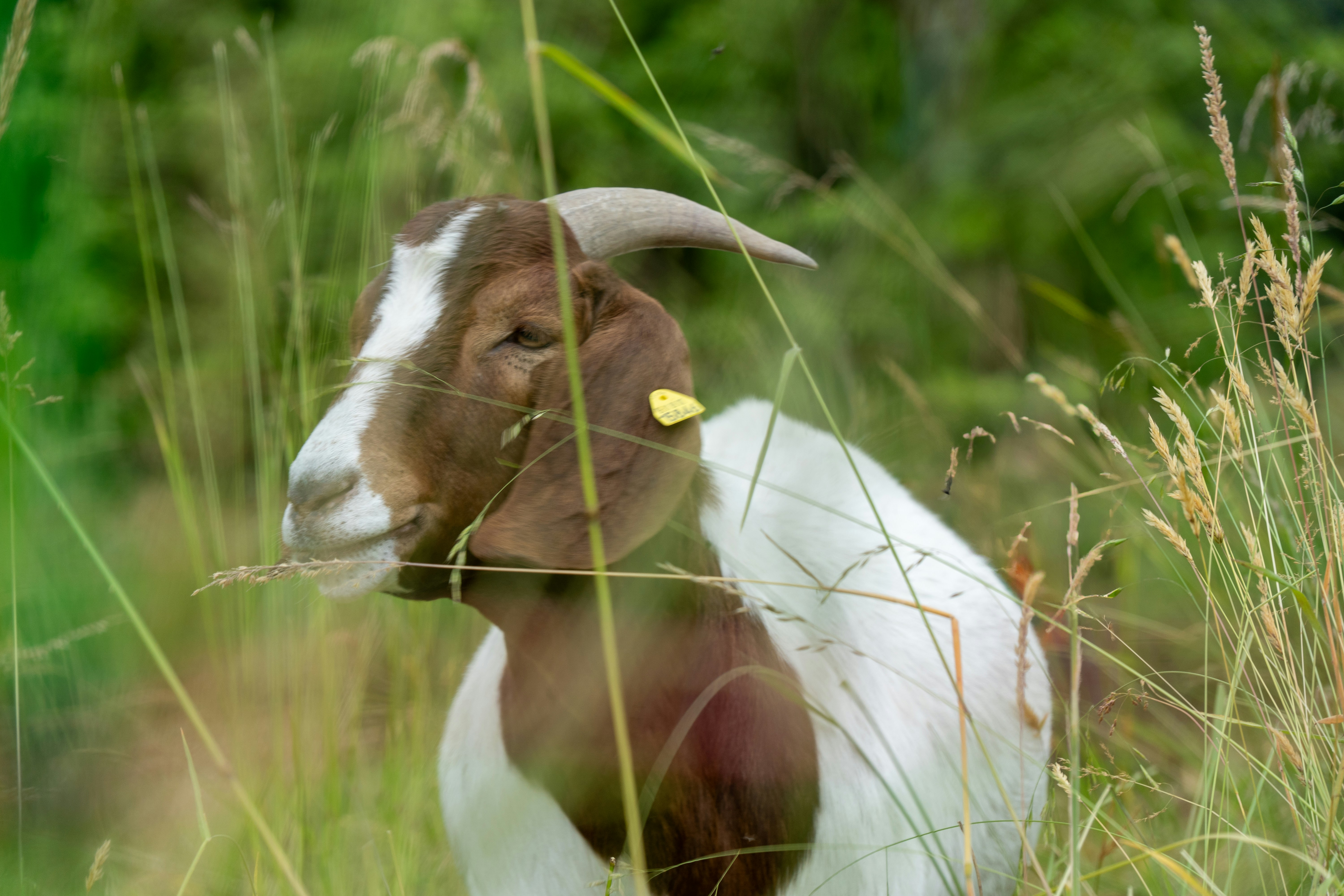 Photo by fabiankleiser