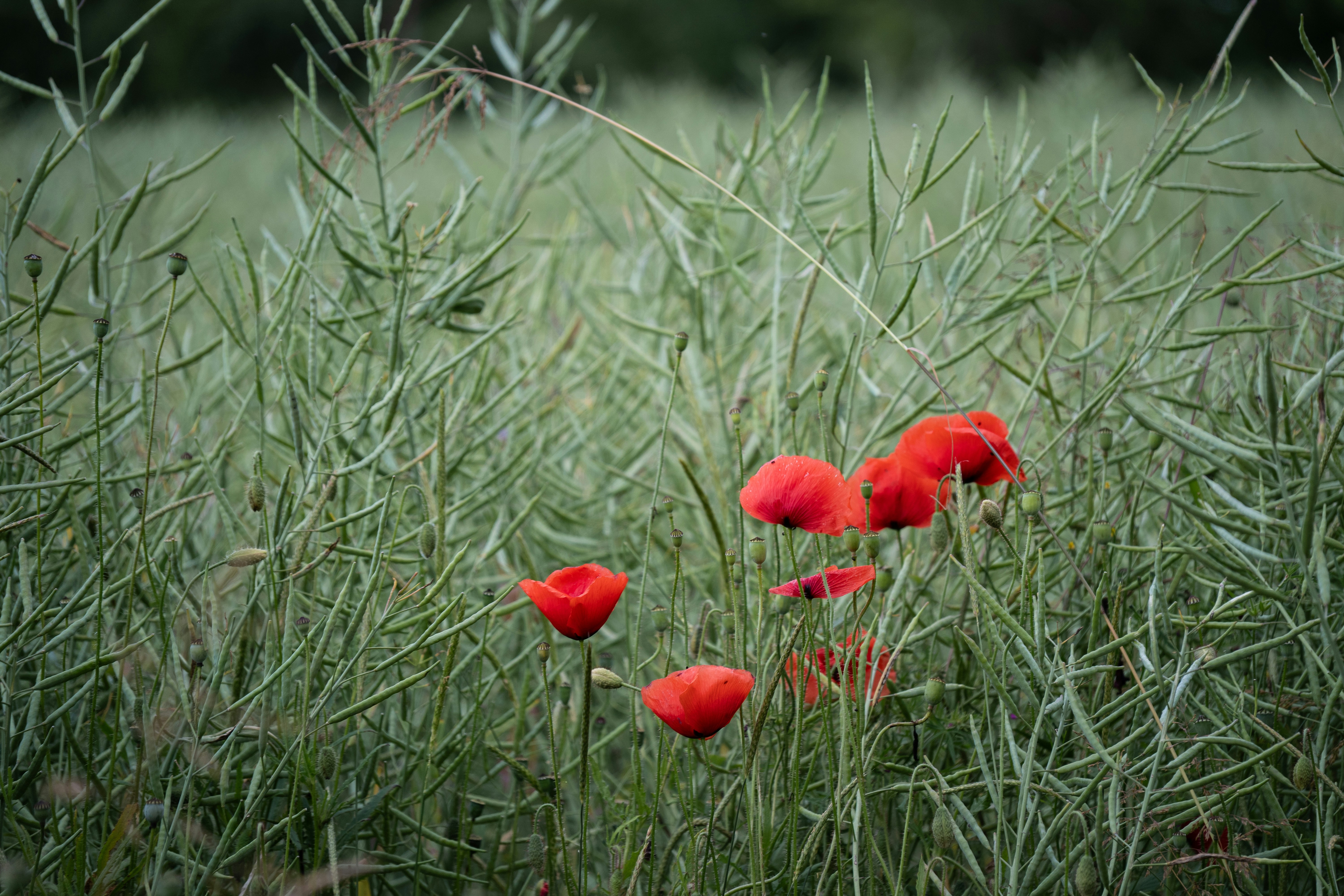 Photo by fabiankleiser