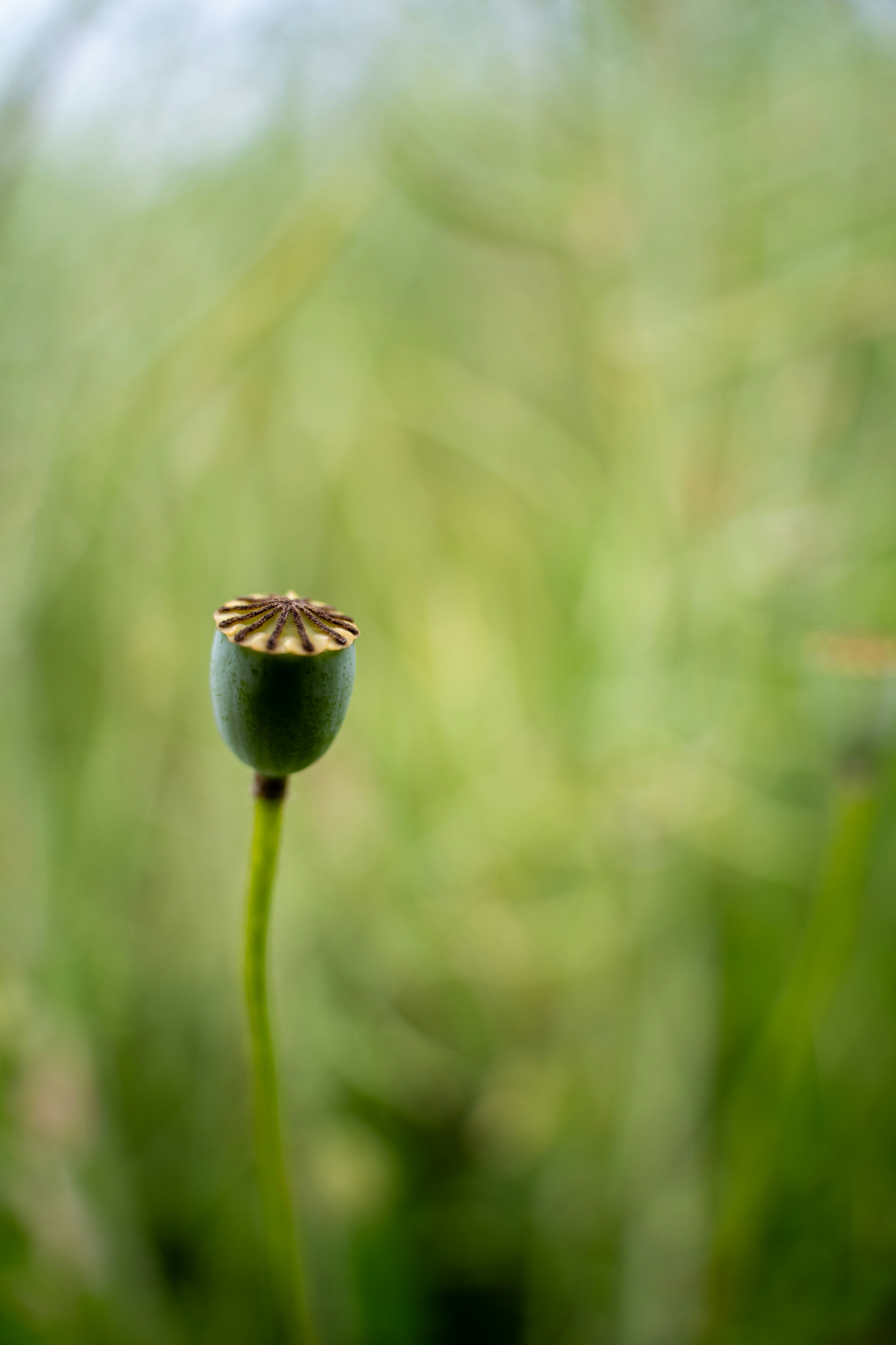 Photo by fabiankleiser