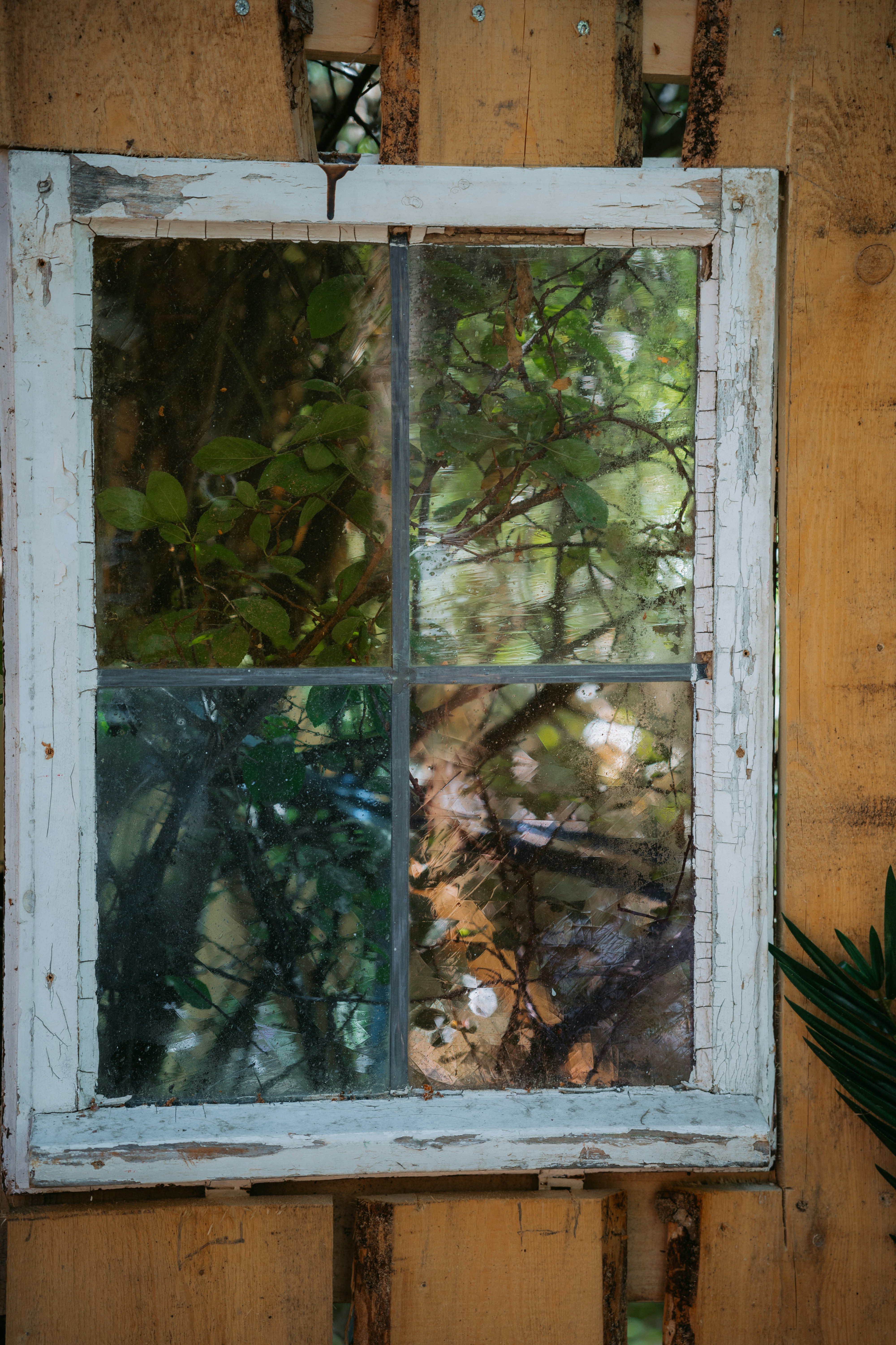 Photo by dermanuskript