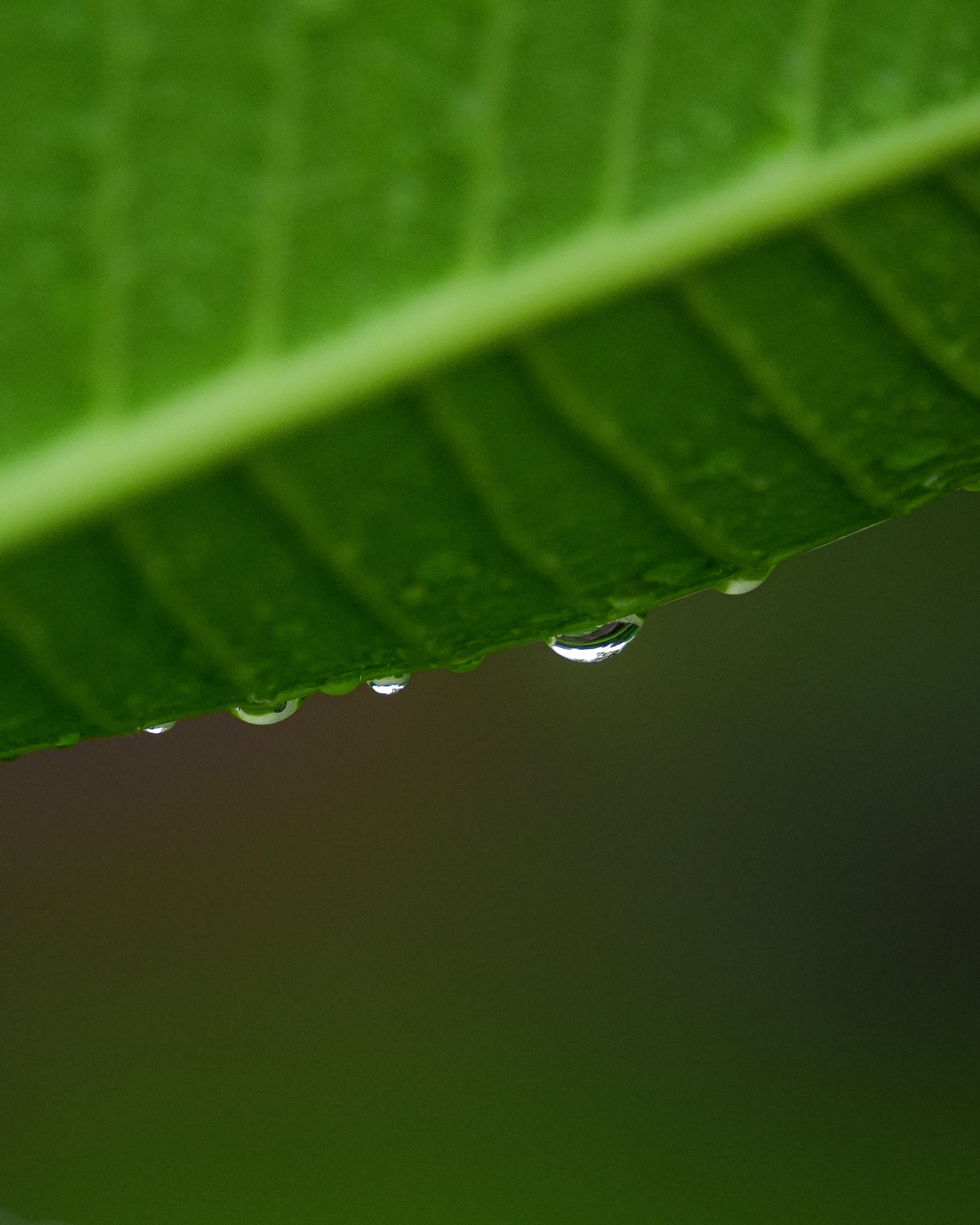 Photo by sagarkulkarni