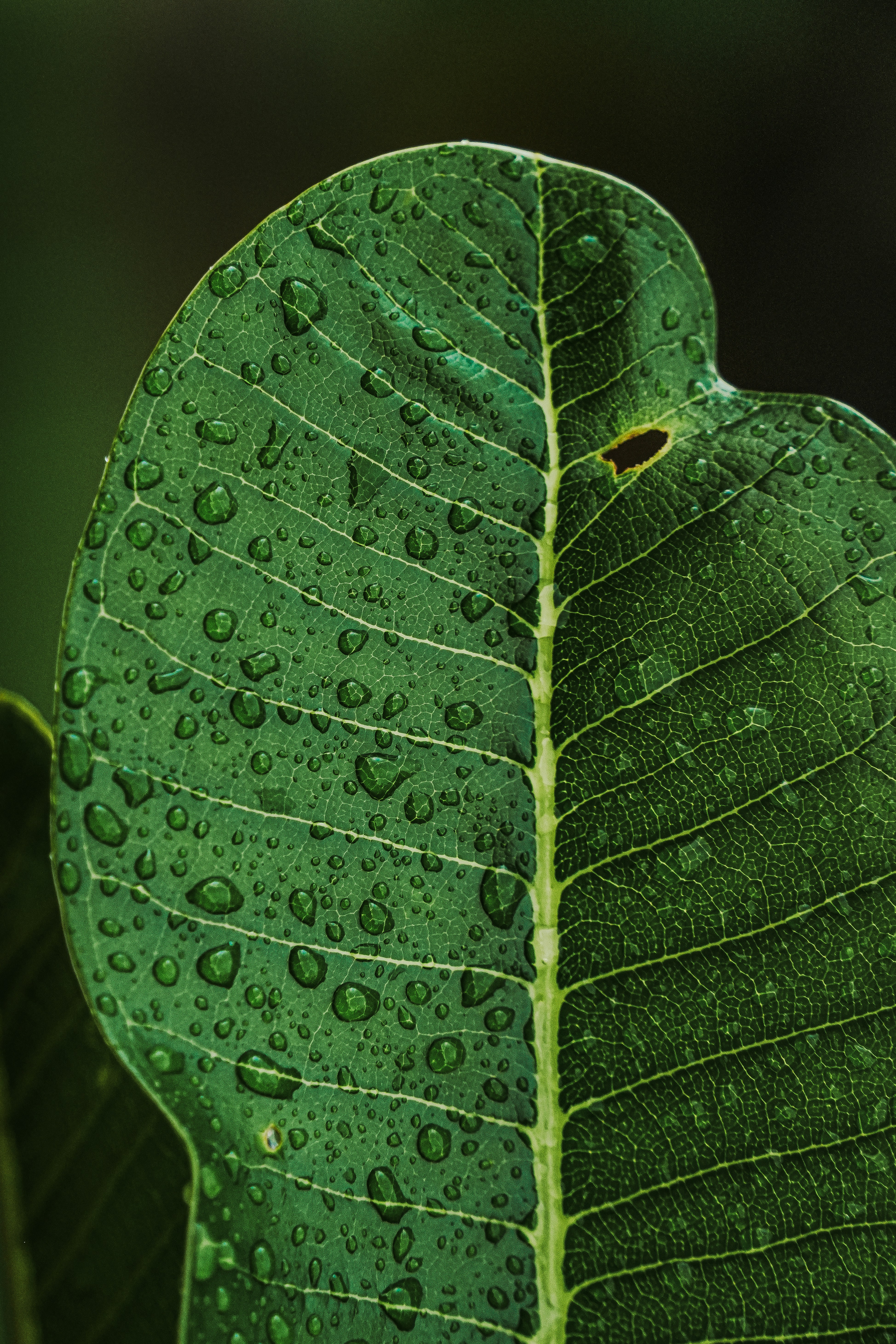 Photo by sagarkulkarni