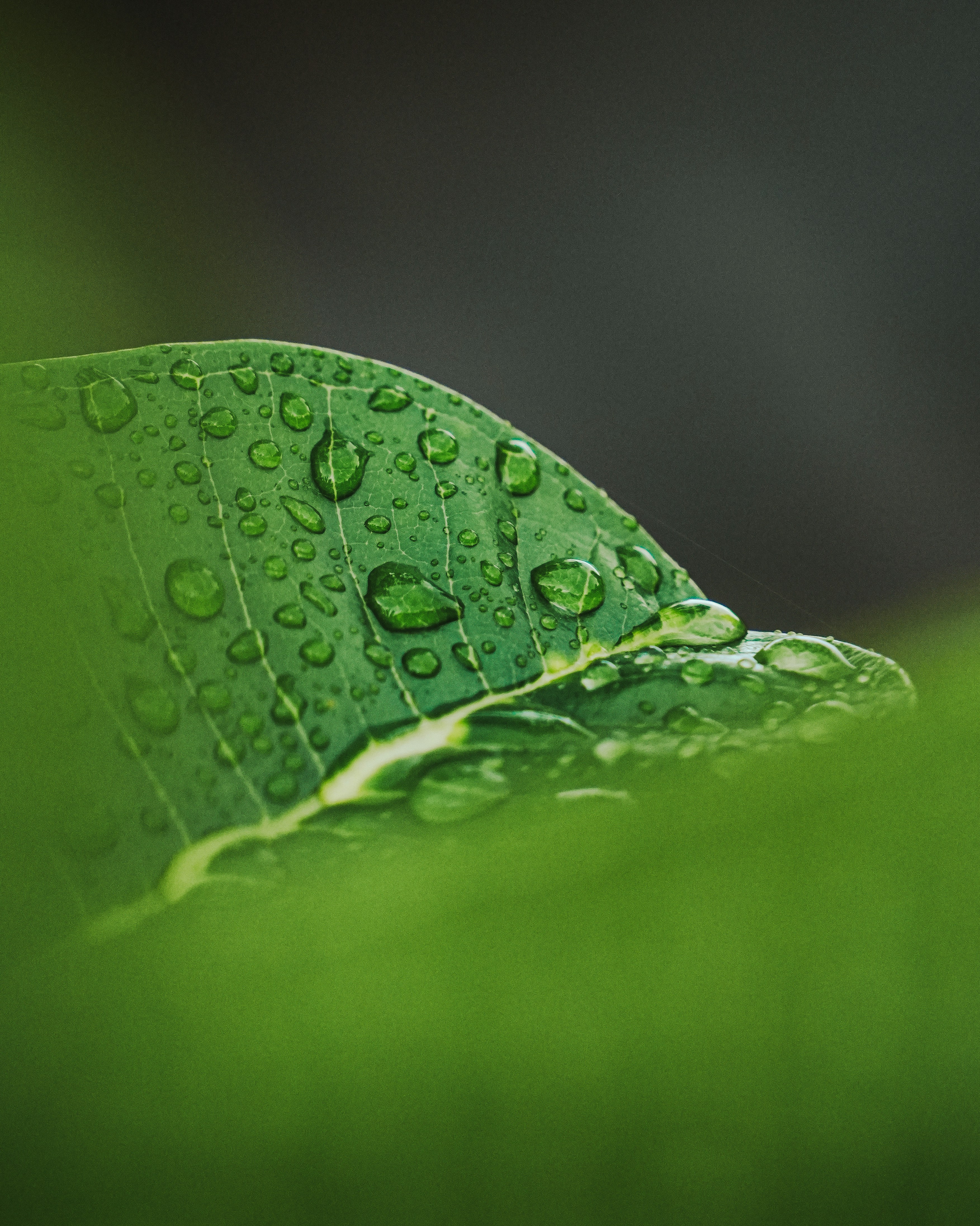 Photo by sagarkulkarni