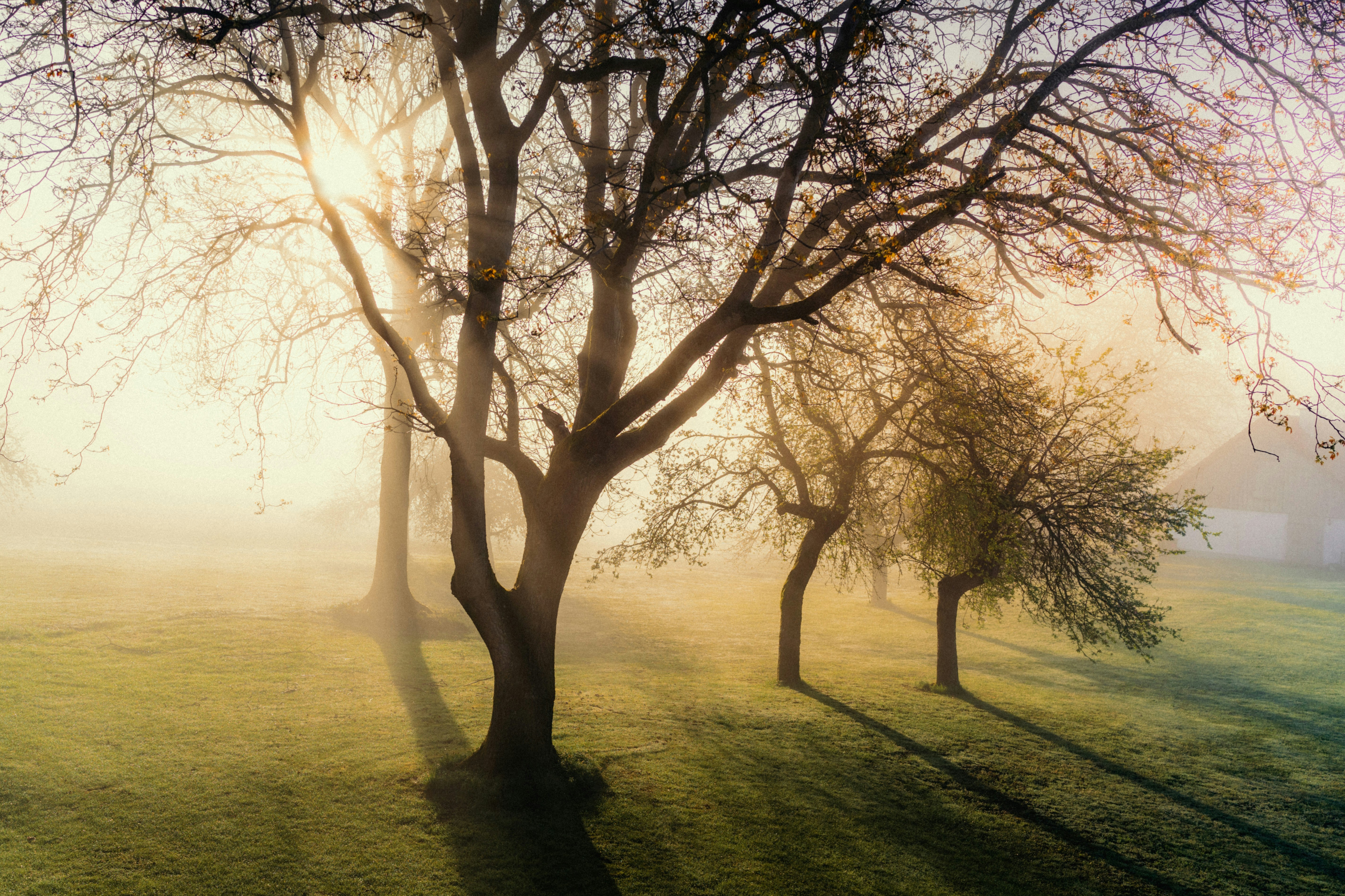 Photo by dermanuskript