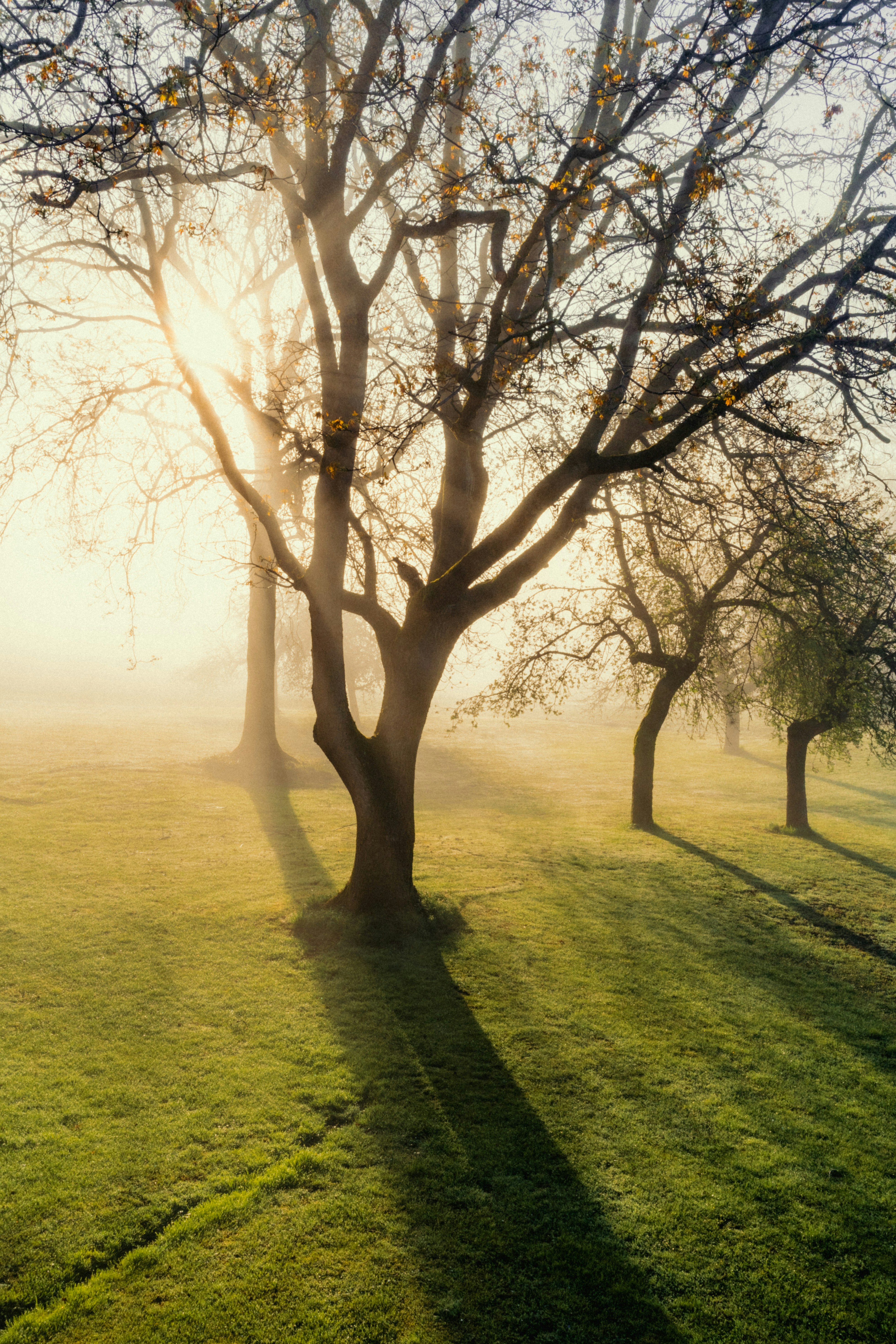 Photo by dermanuskript