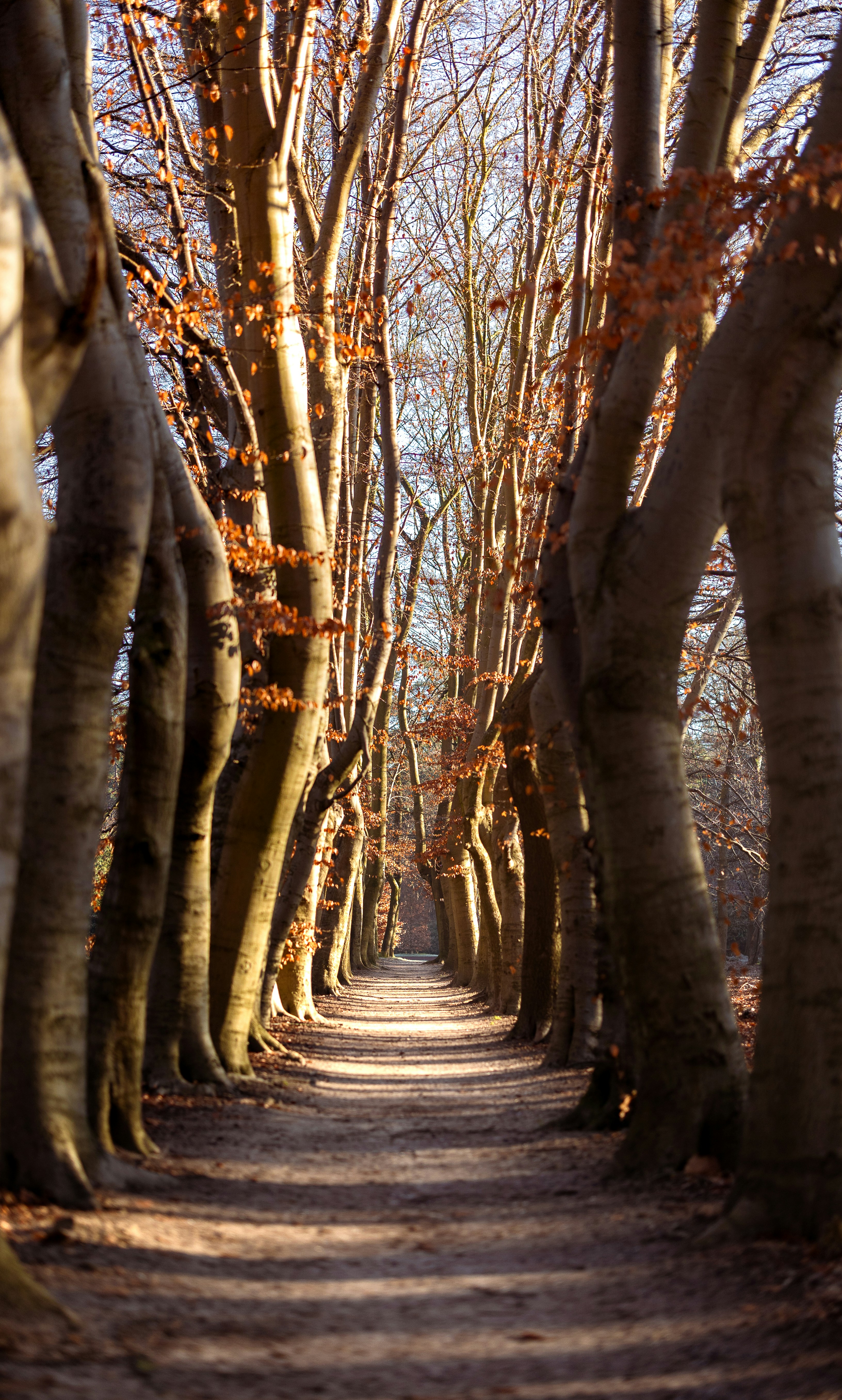 Photo by marekpiwnicki