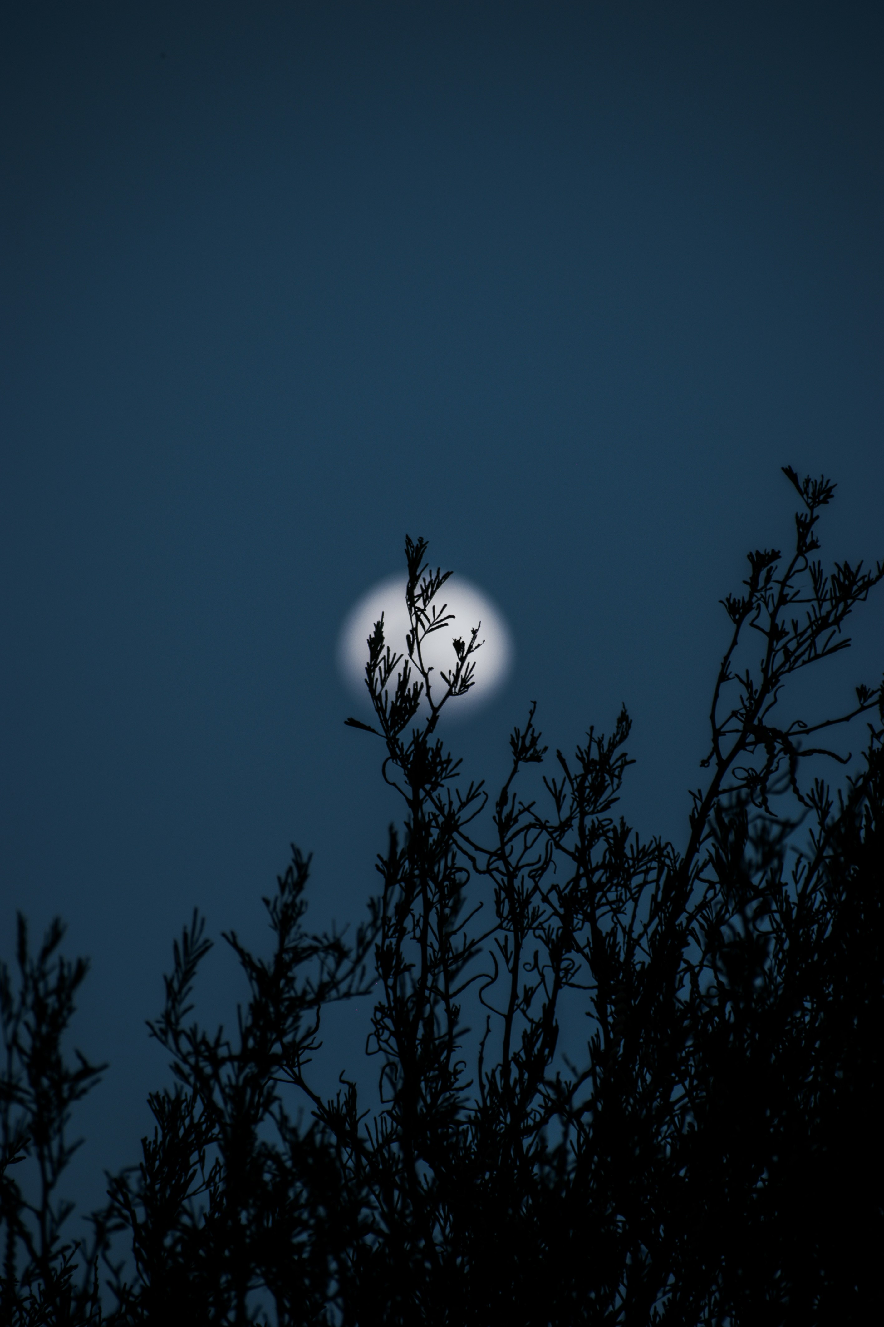 Photo by sagarkulkarni