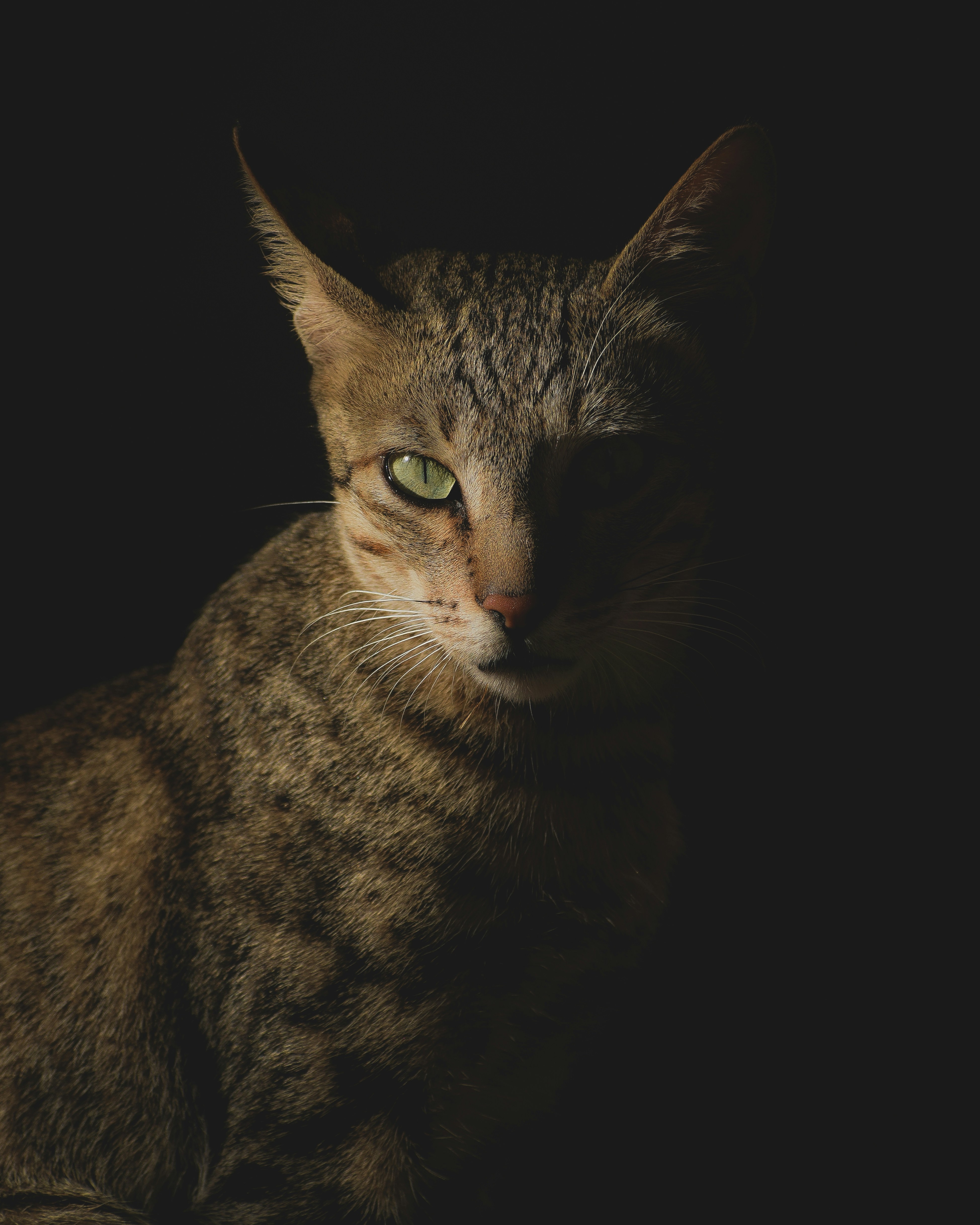 Photo by sagarkulkarni