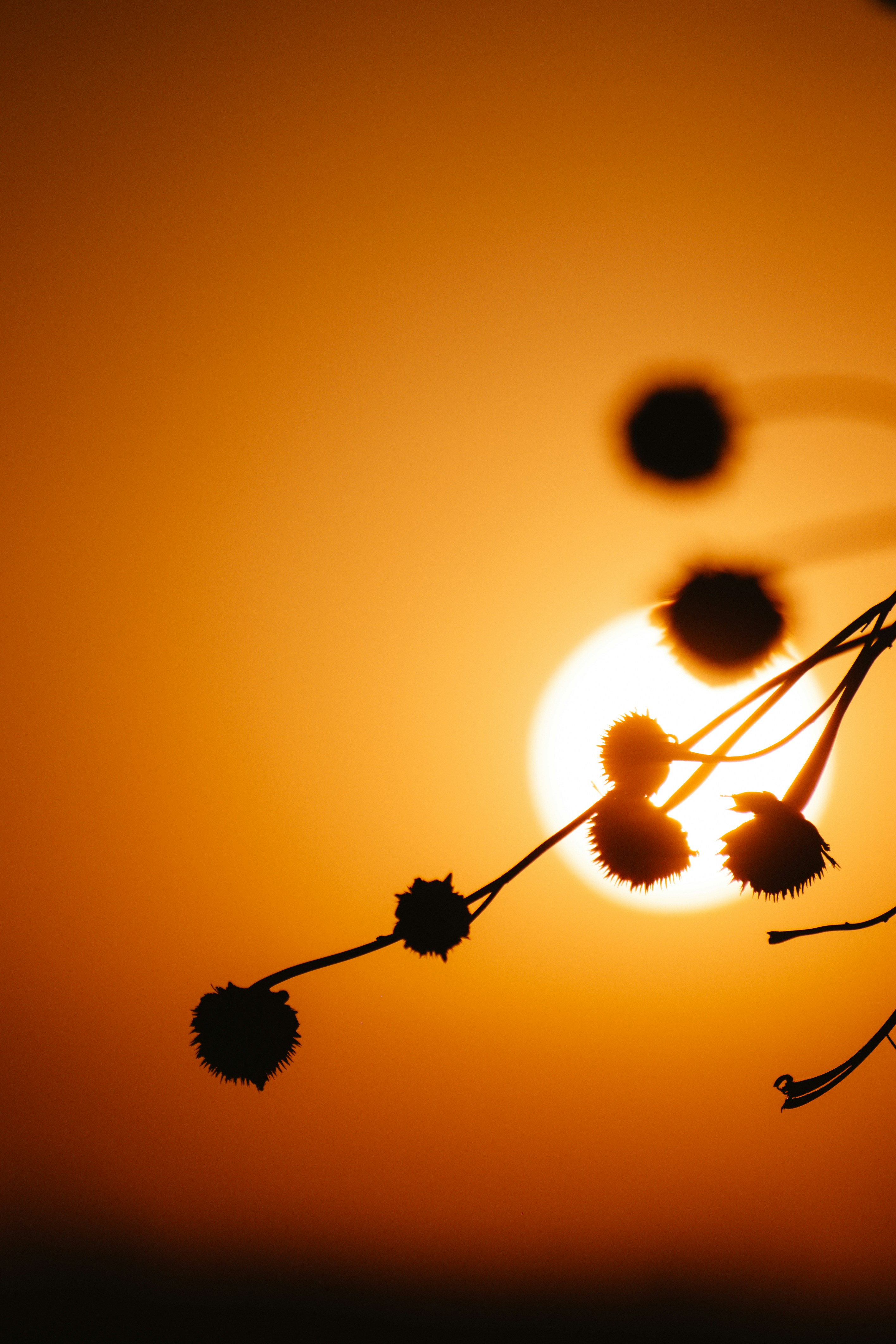 Photo by sagarkulkarni