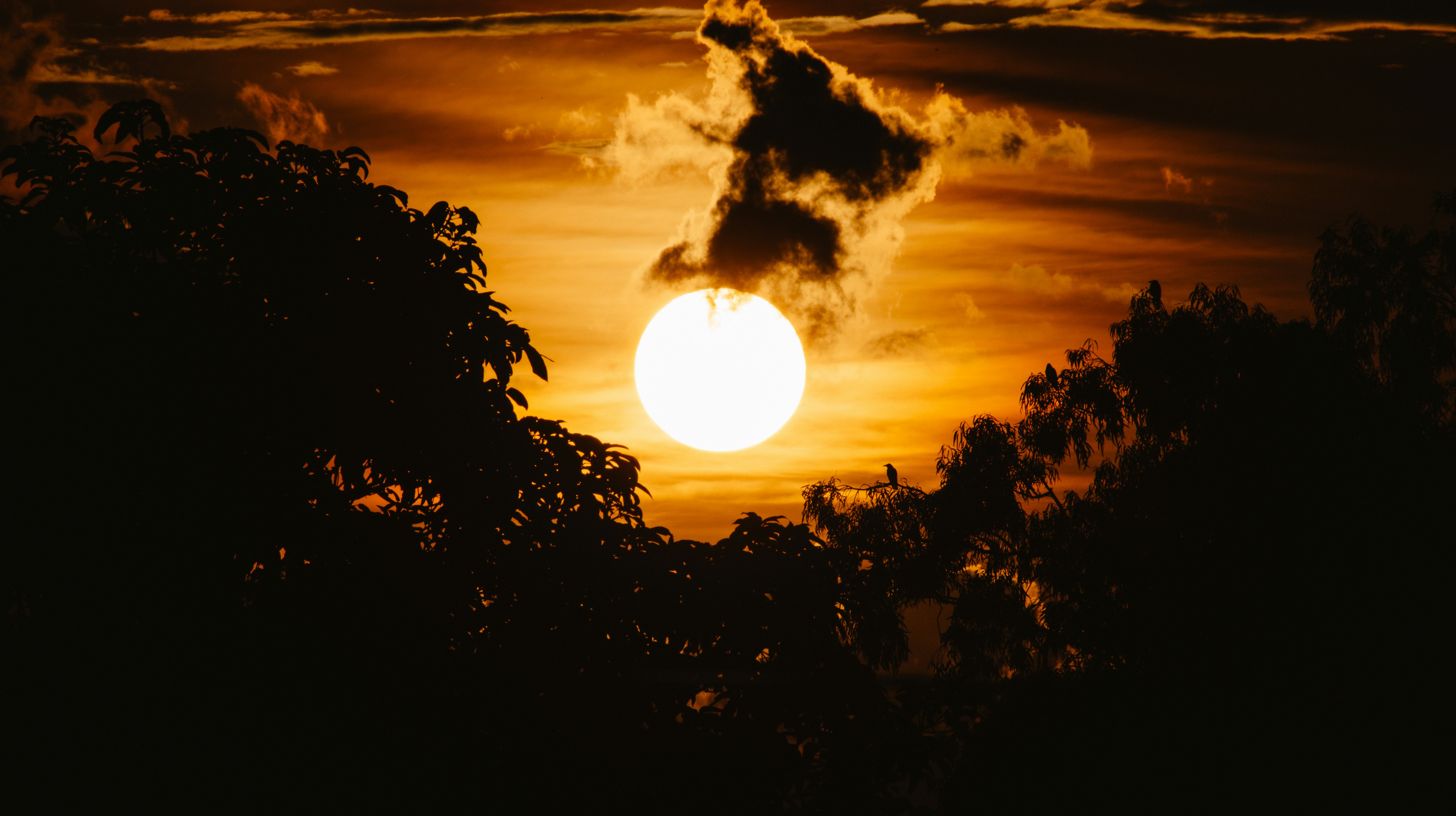 Photo by sagarkulkarni