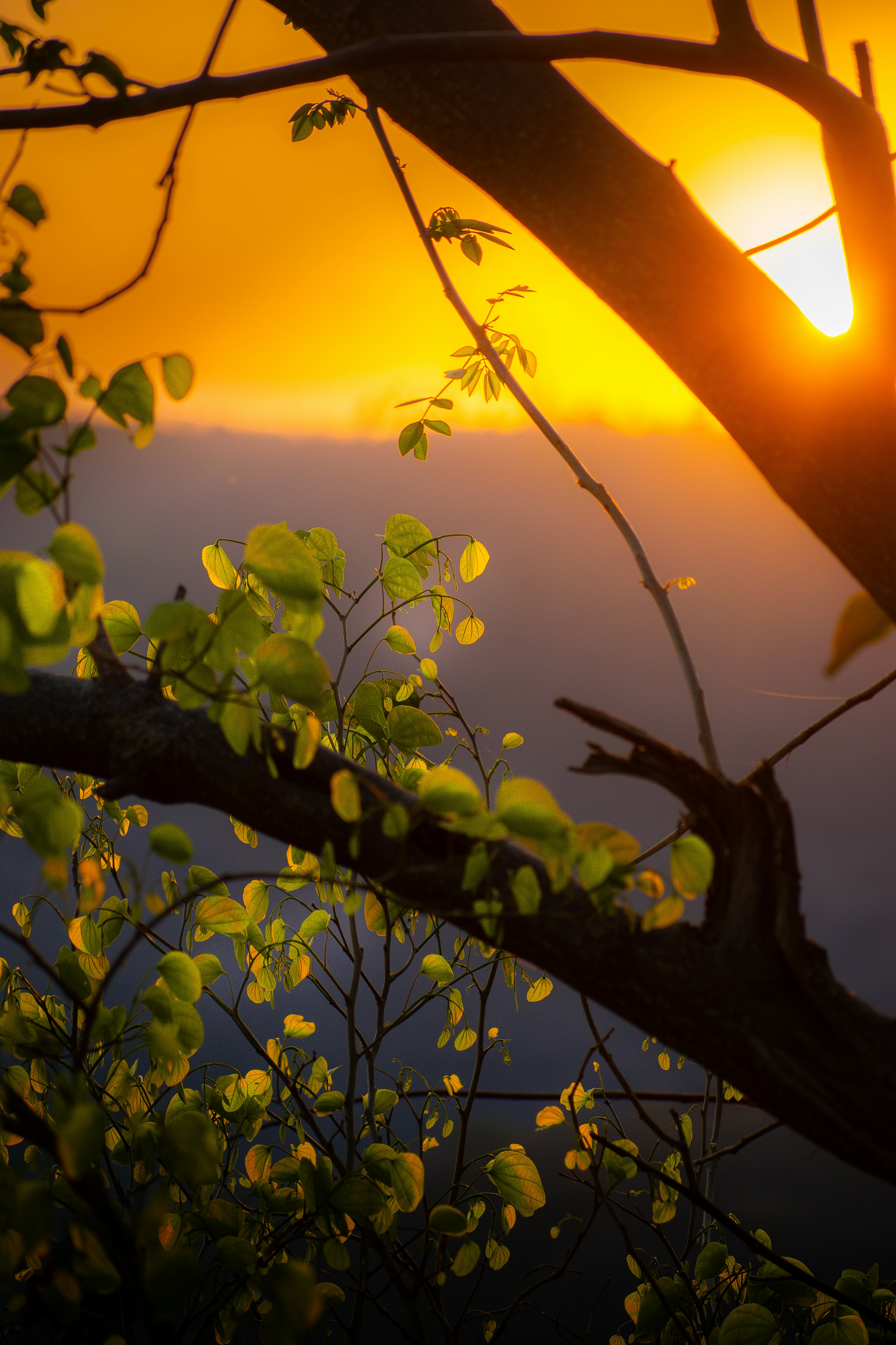 Photo by sagarkulkarni