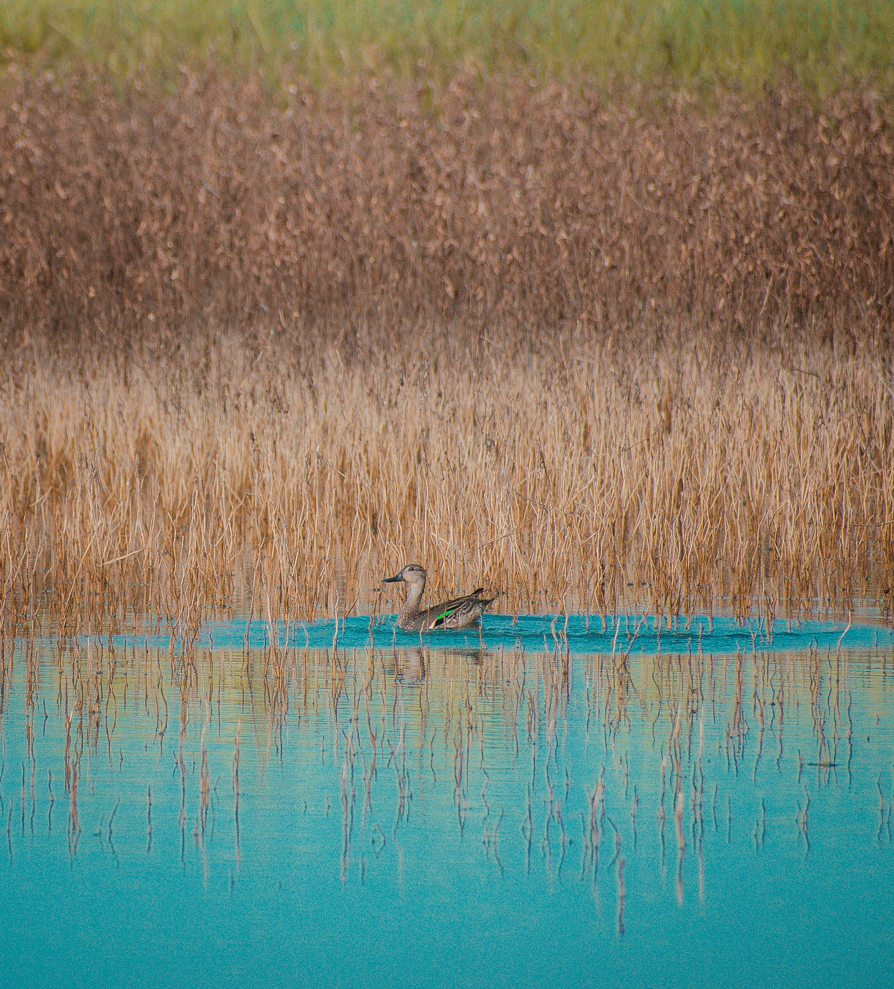Photo by sagarkulkarni