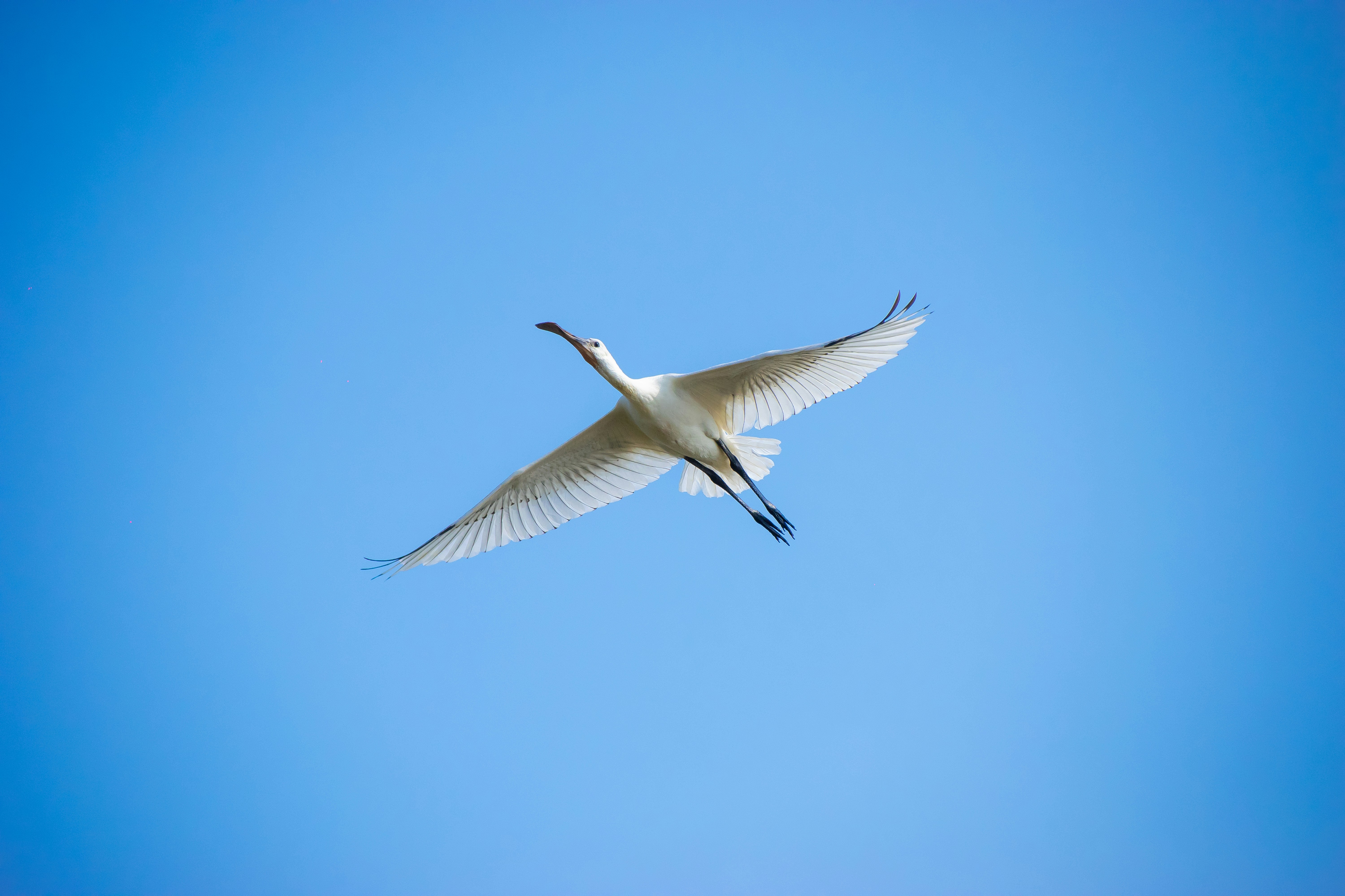 Photo by sagarkulkarni