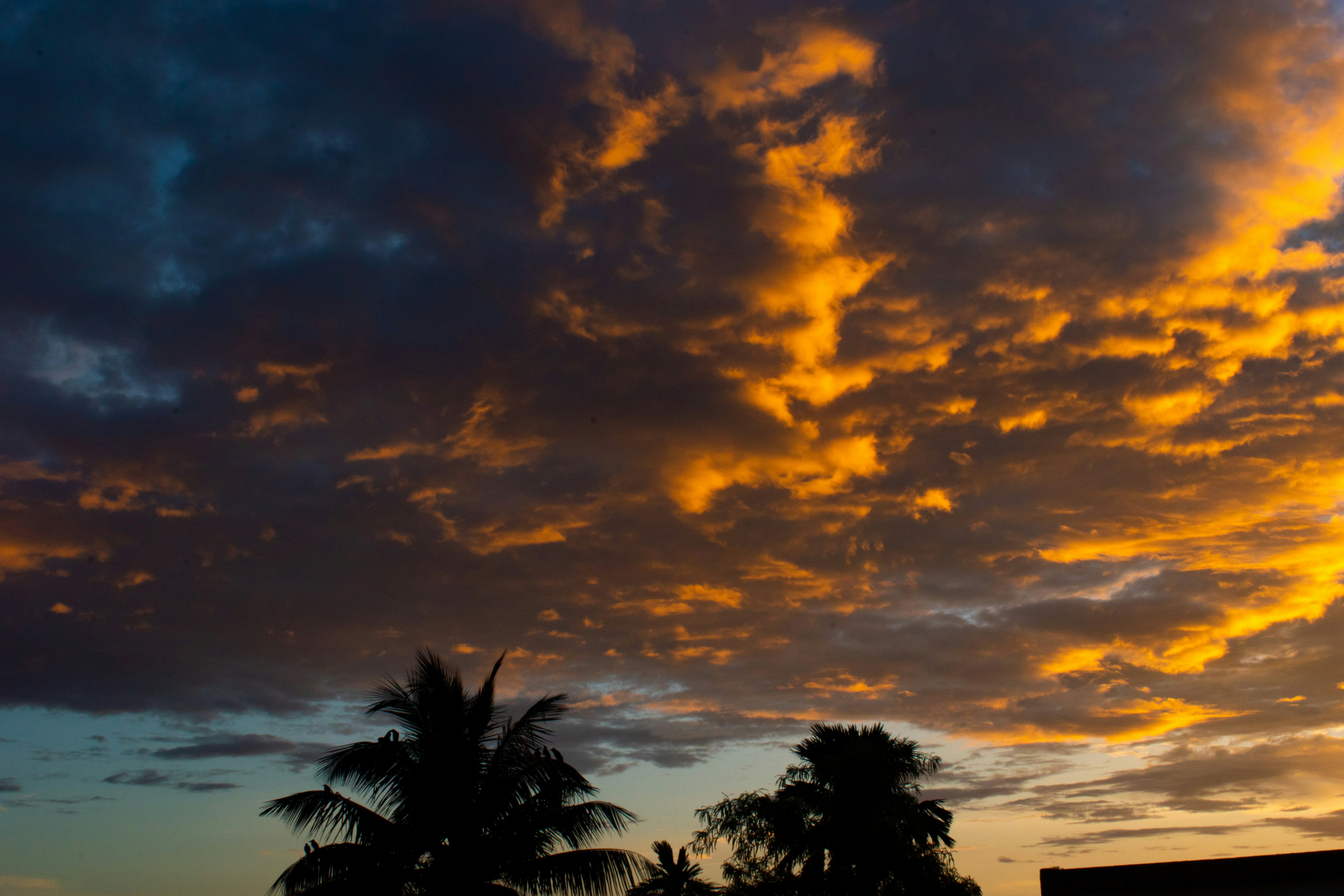 Photo by sagarkulkarni