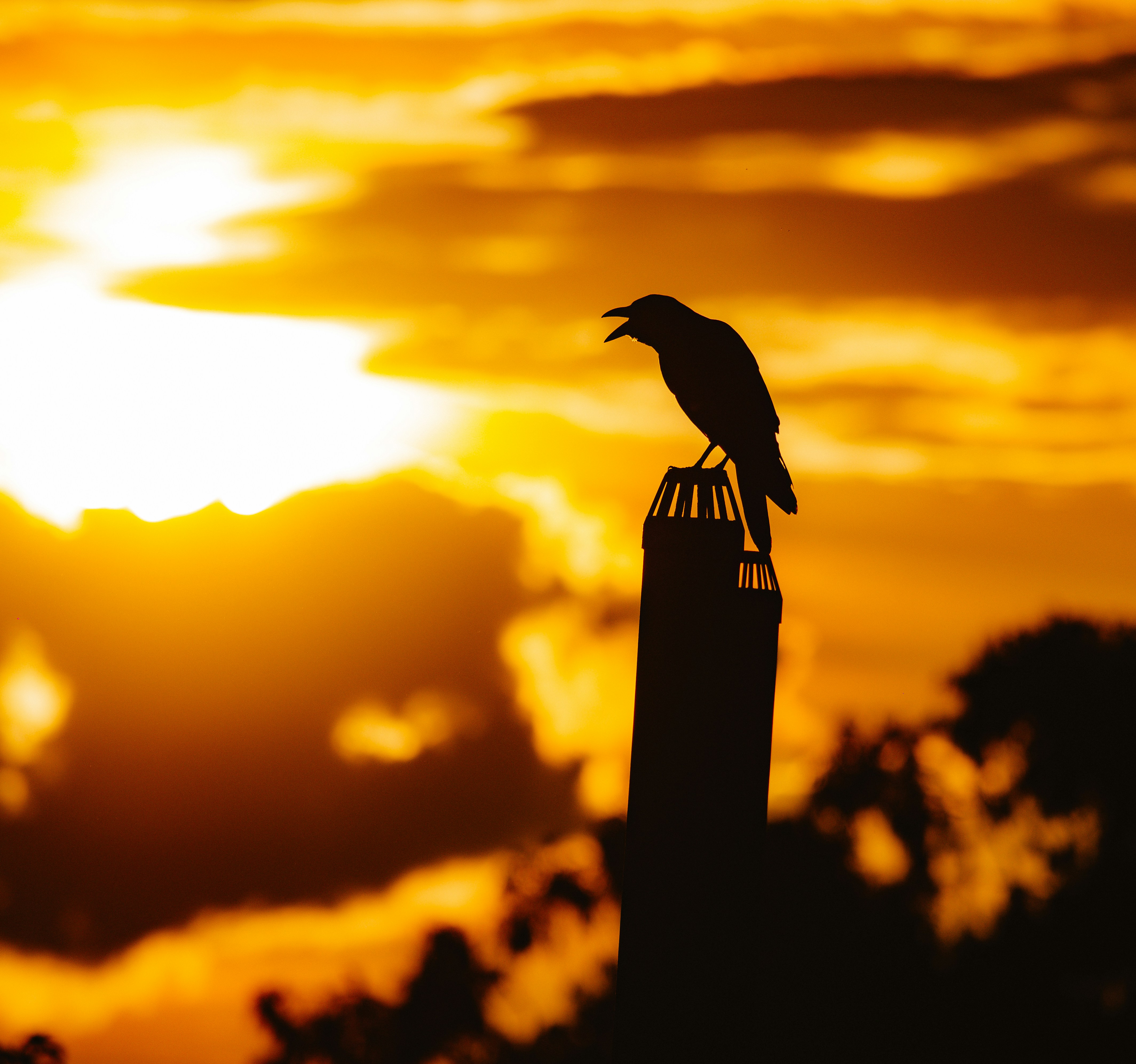 Photo by sagarkulkarni