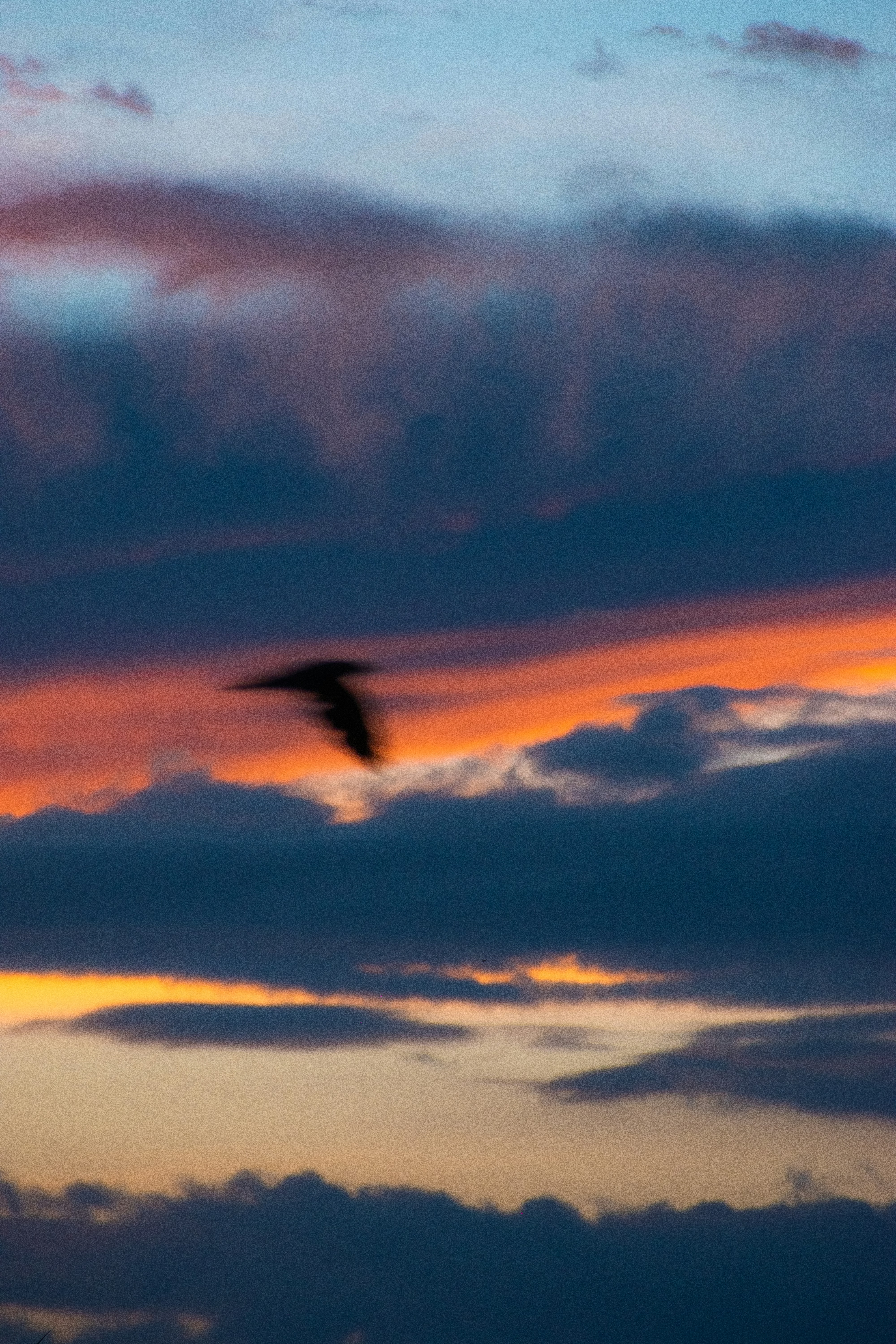 Photo by sagarkulkarni