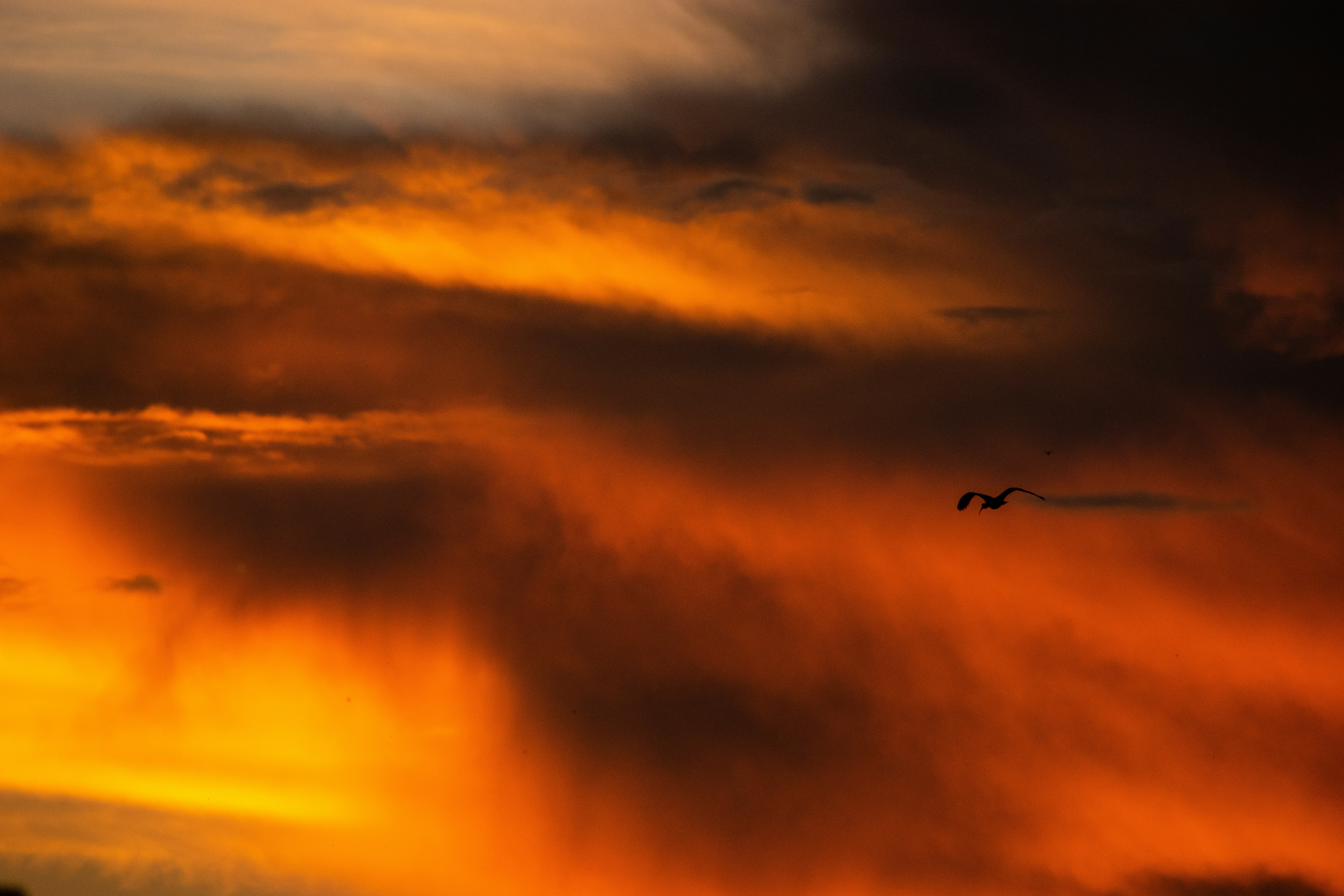 Photo by sagarkulkarni