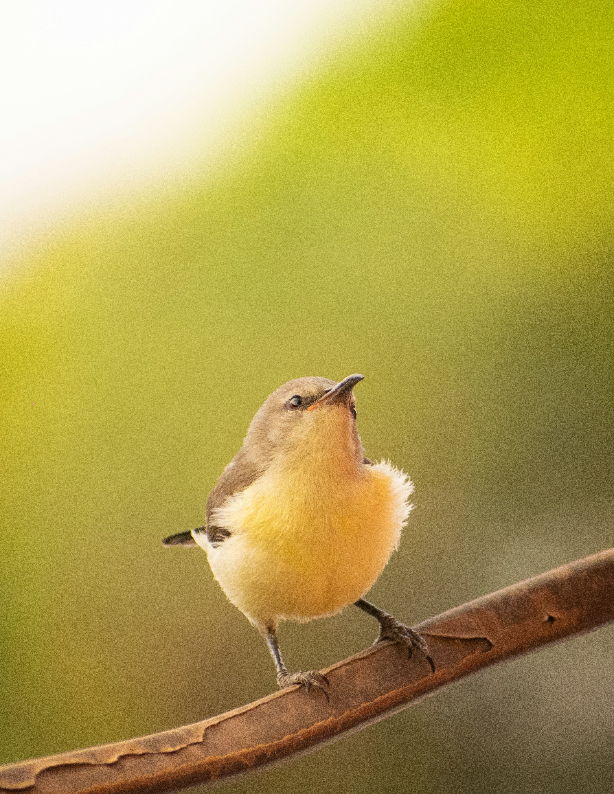 Photo by sagarkulkarni