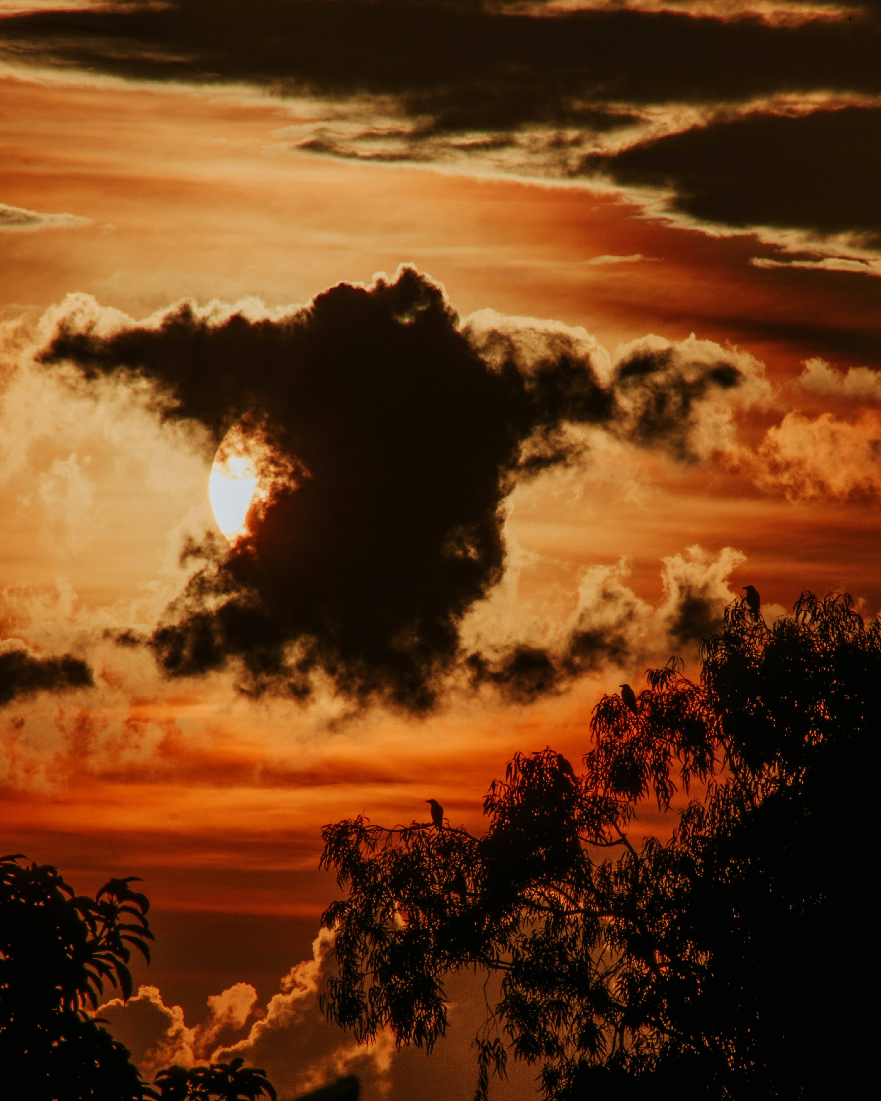 Photo by sagarkulkarni