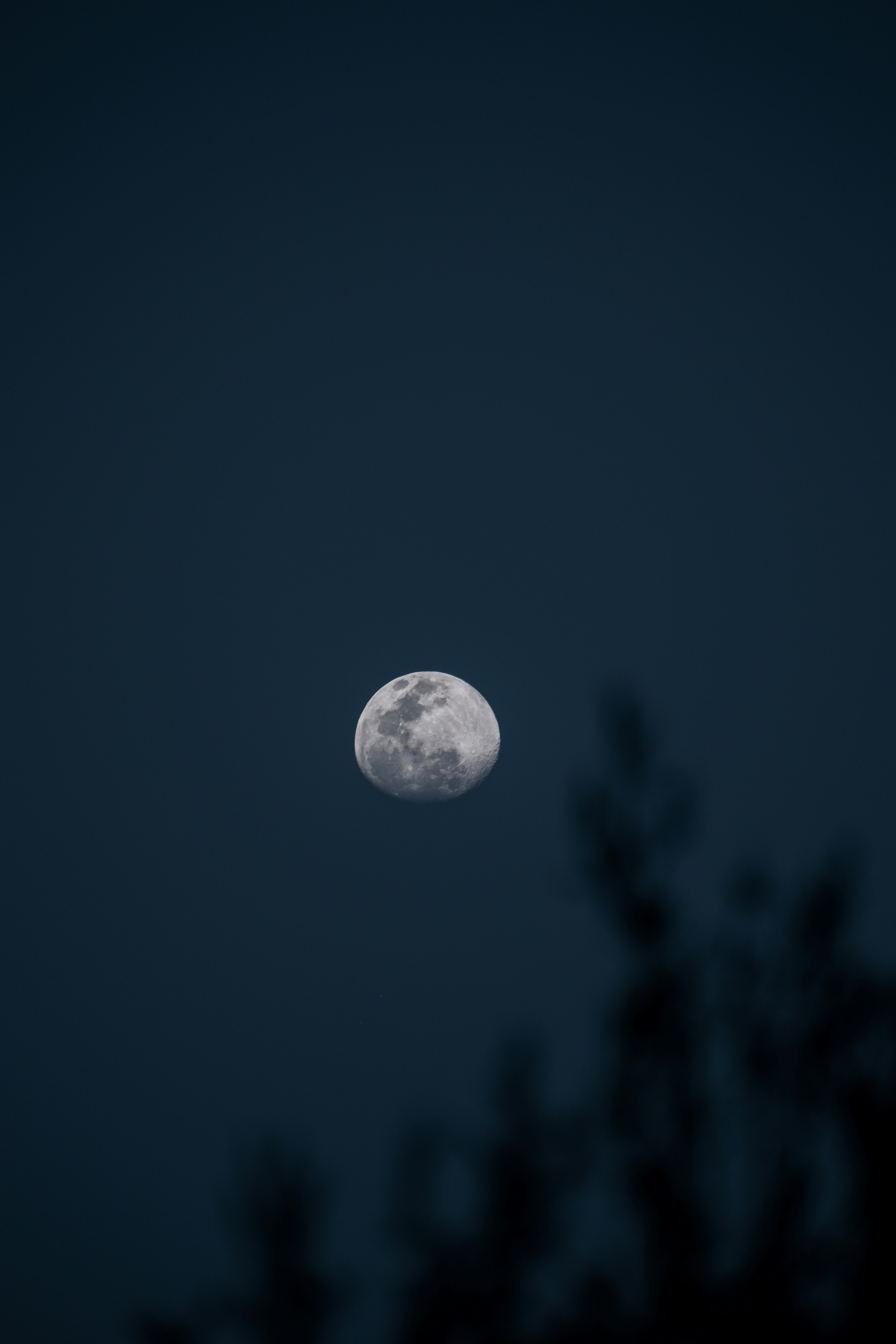 The moon hangs in the dark, blue sky.