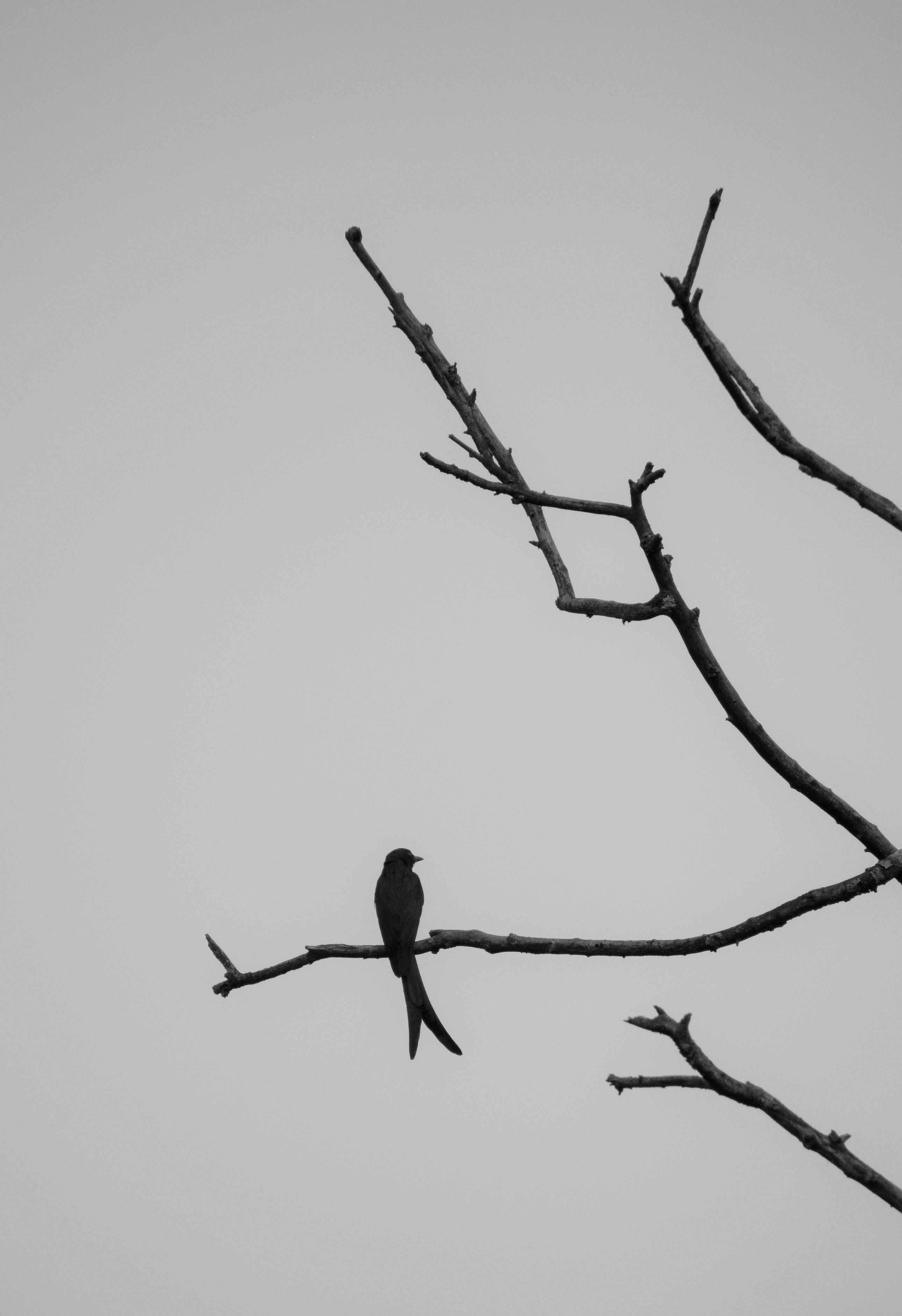 Photo by sagarkulkarni