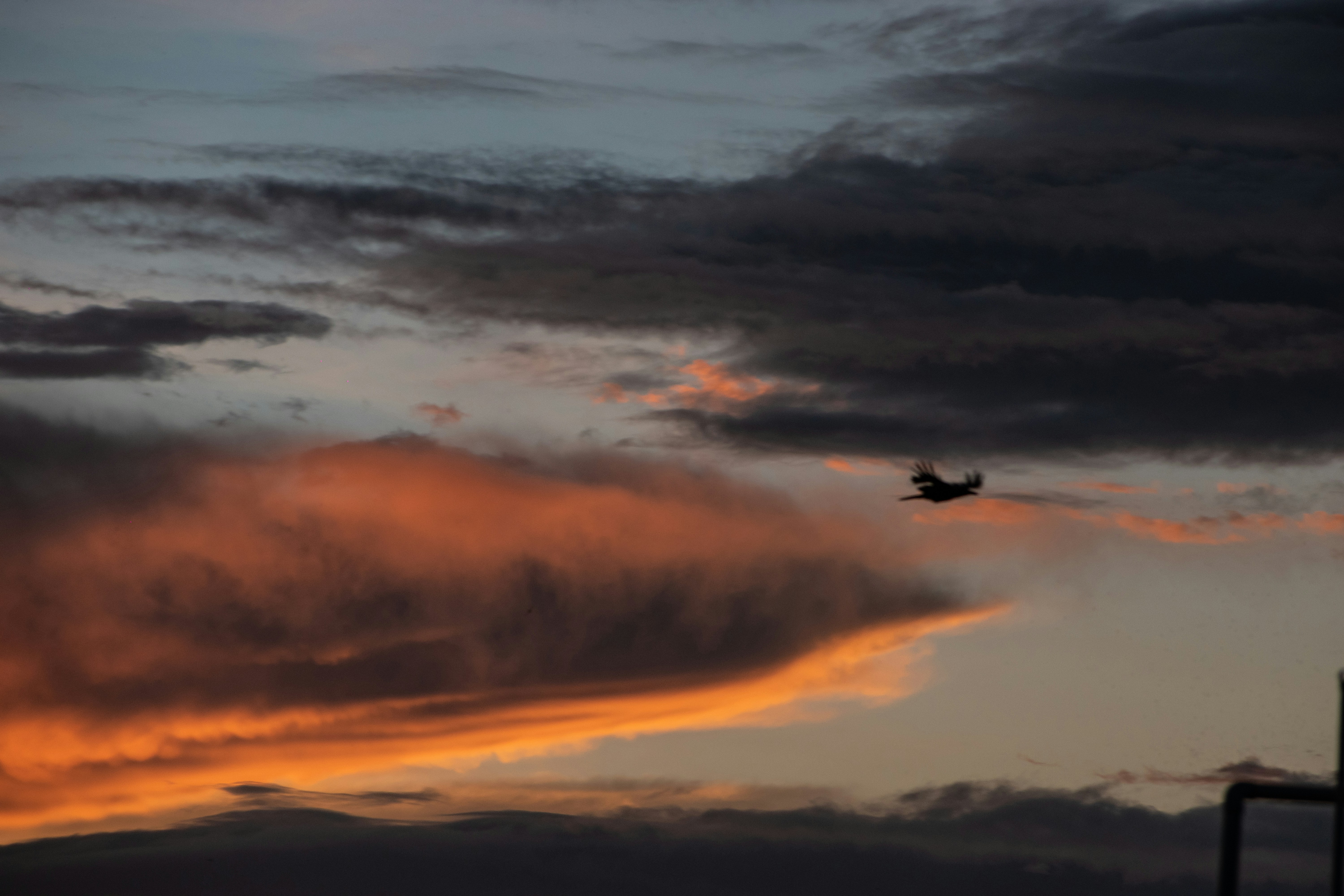 Photo by sagarkulkarni