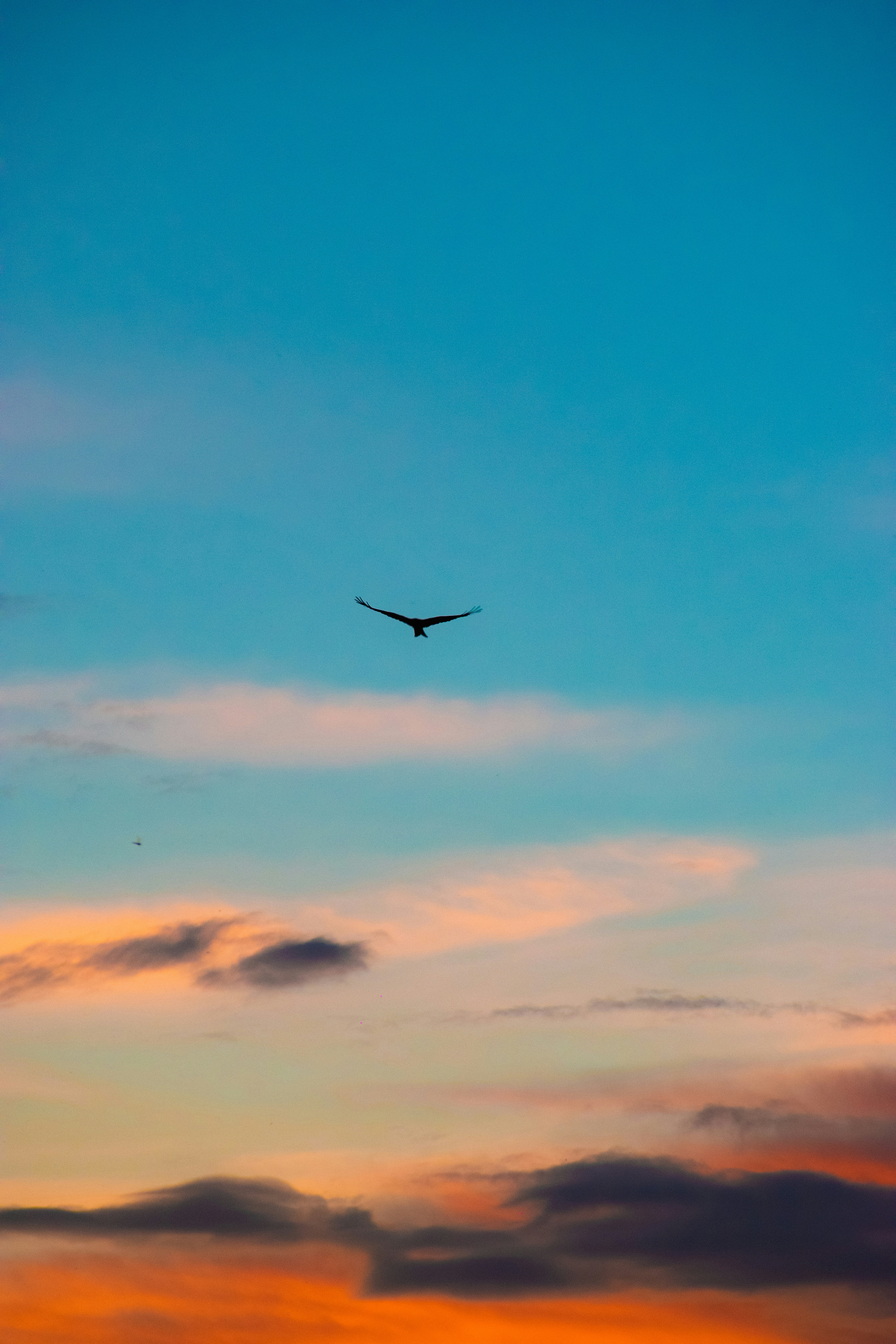 Photo by sagarkulkarni