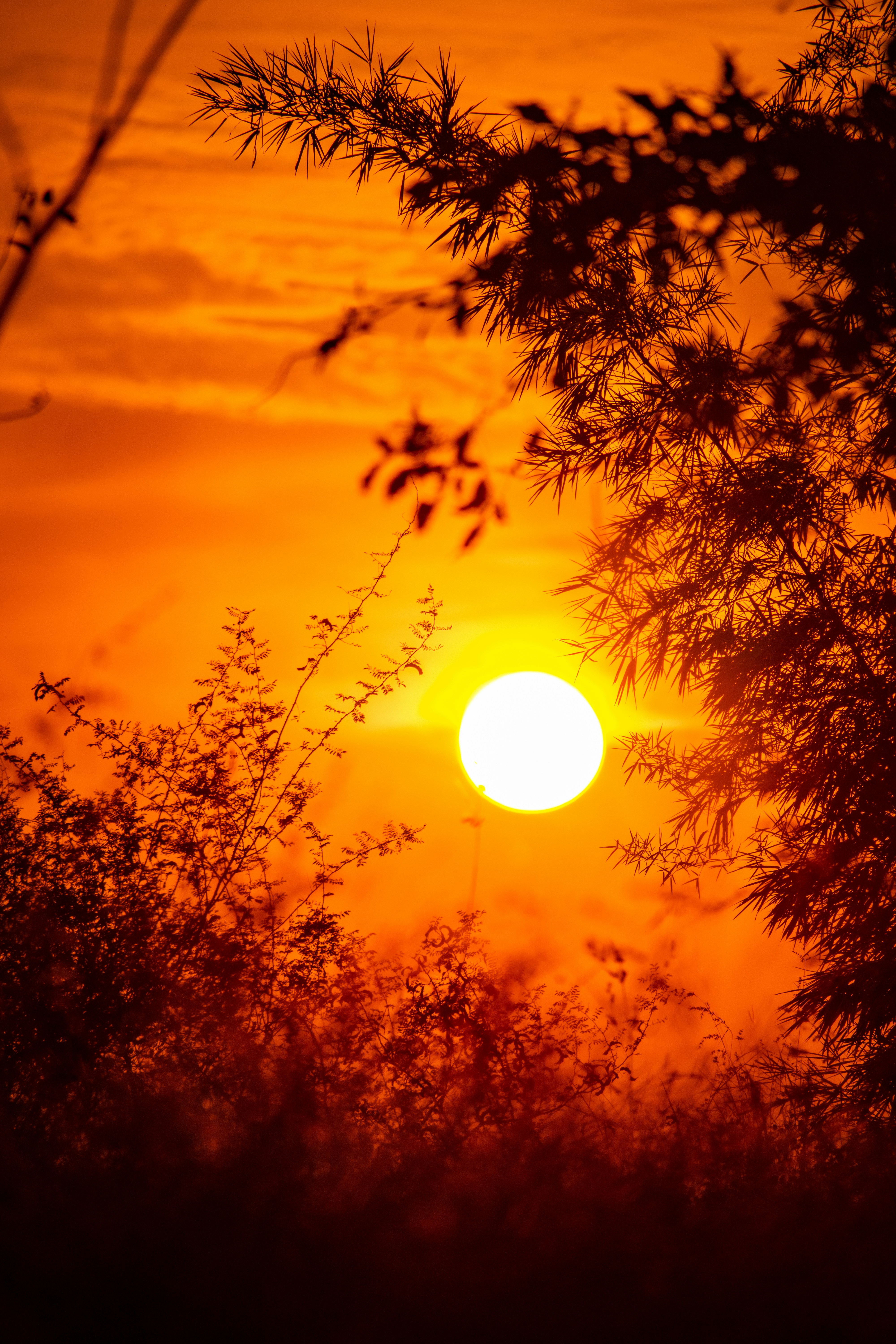 Photo by sagarkulkarni