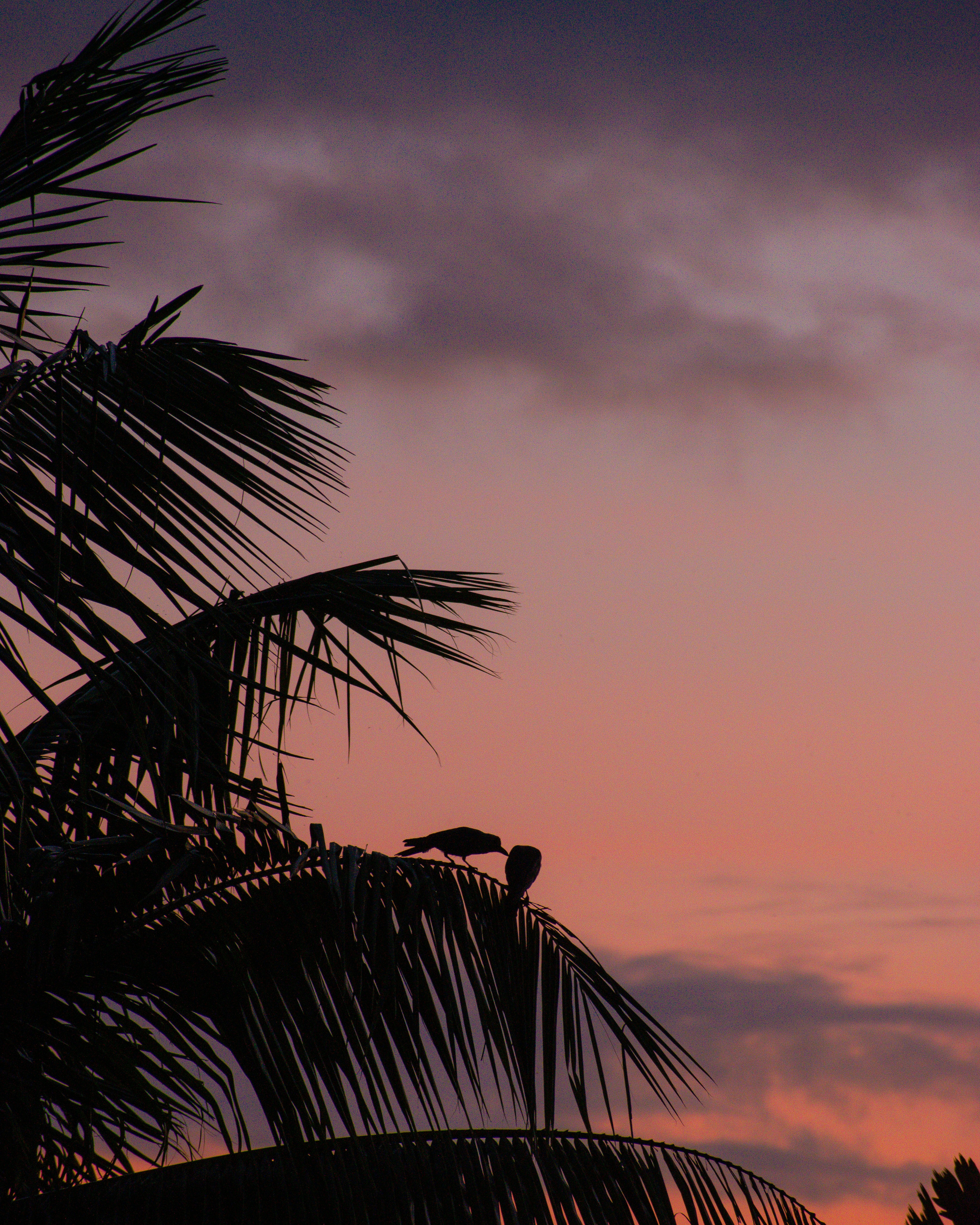 Photo by sagarkulkarni