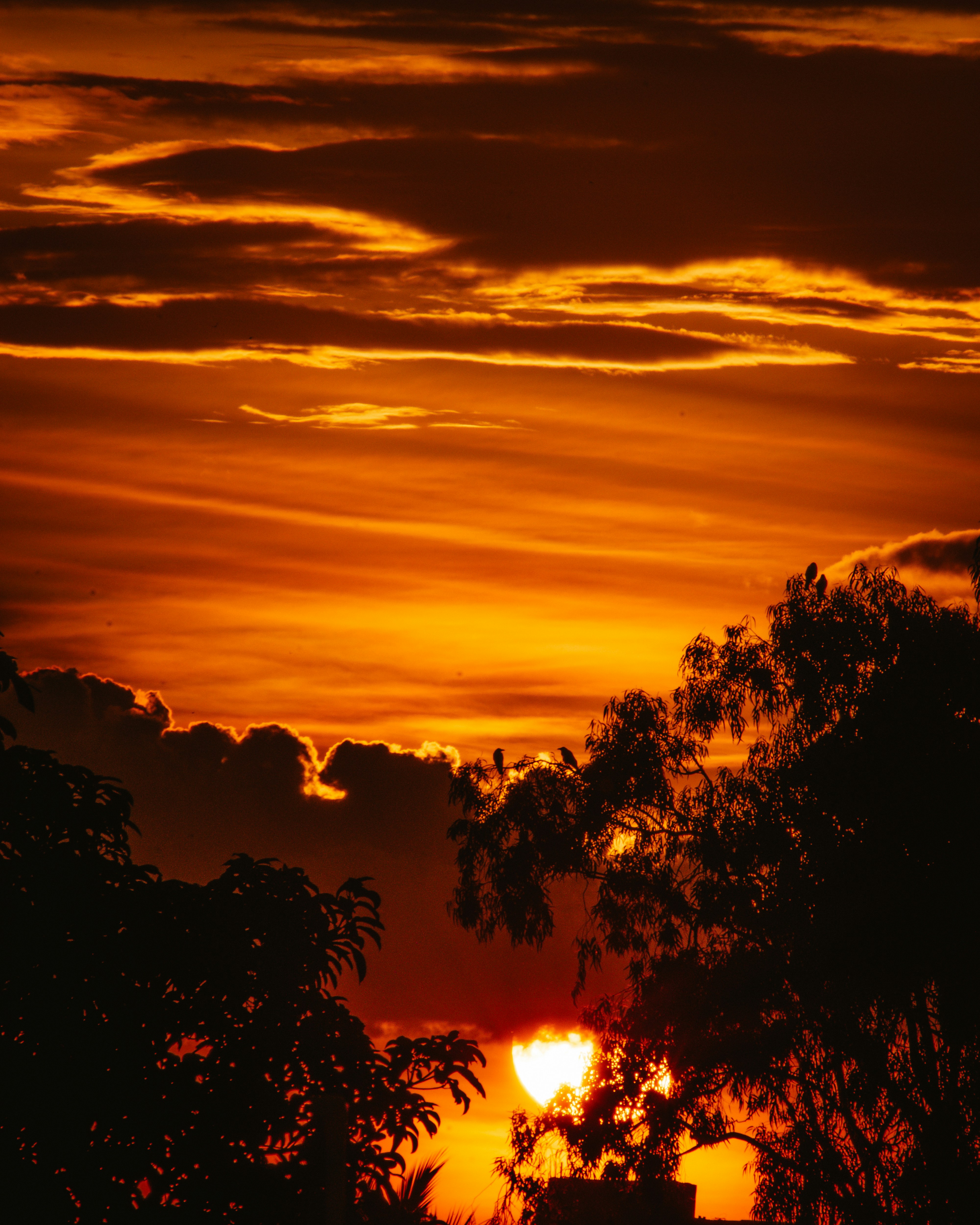 Photo by sagarkulkarni