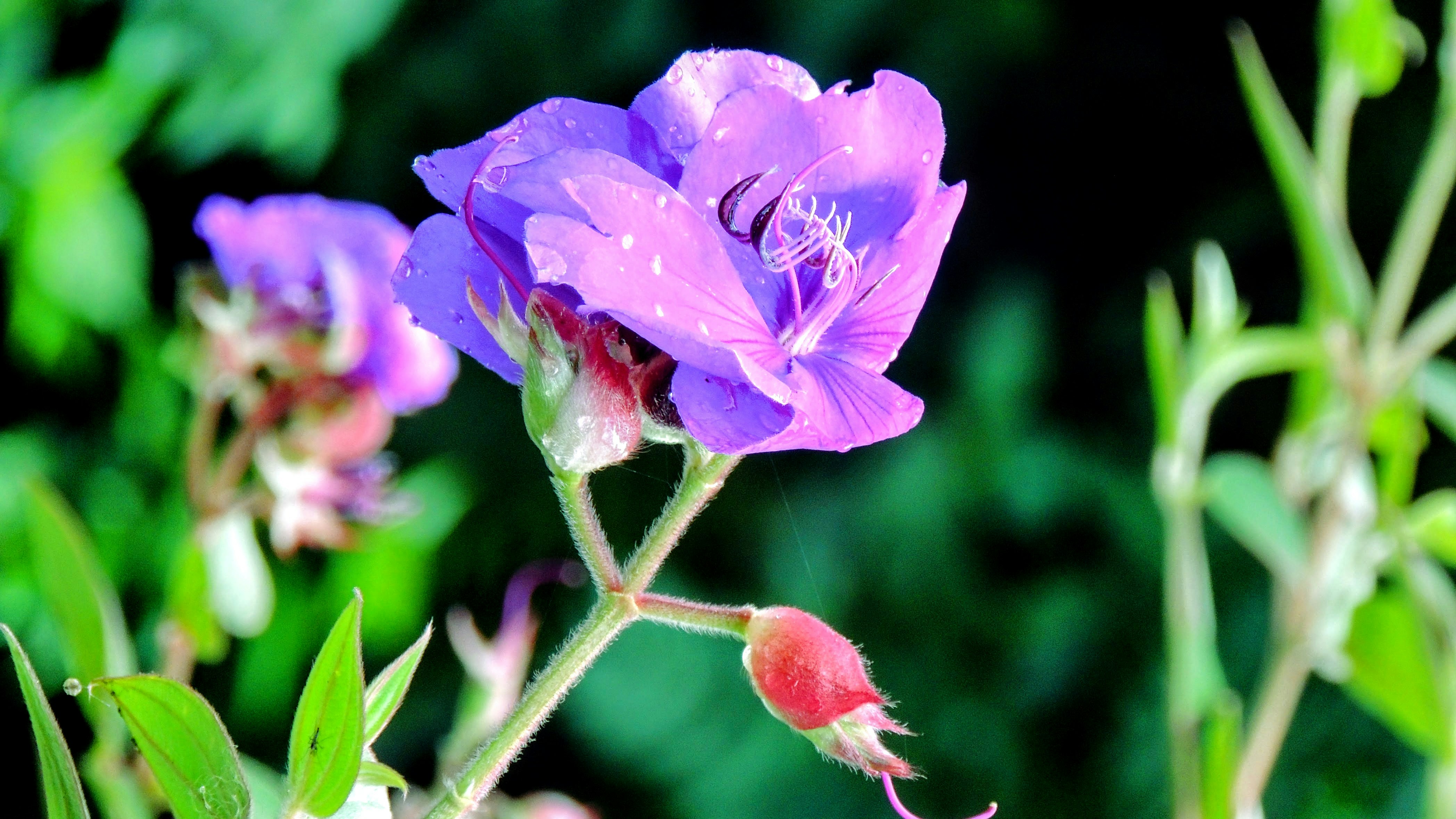 Photo by citywildlens