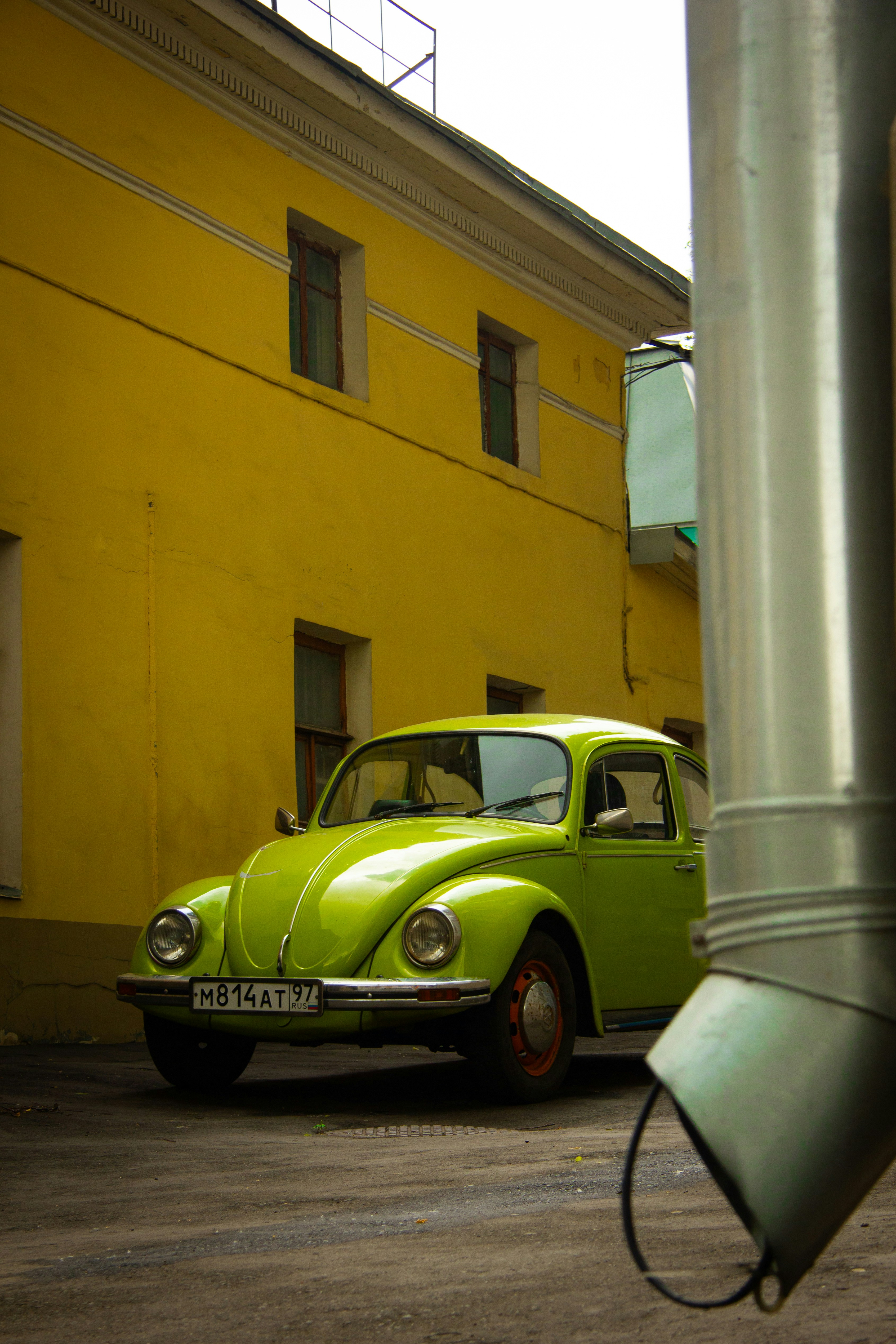 Photo by felis_catus