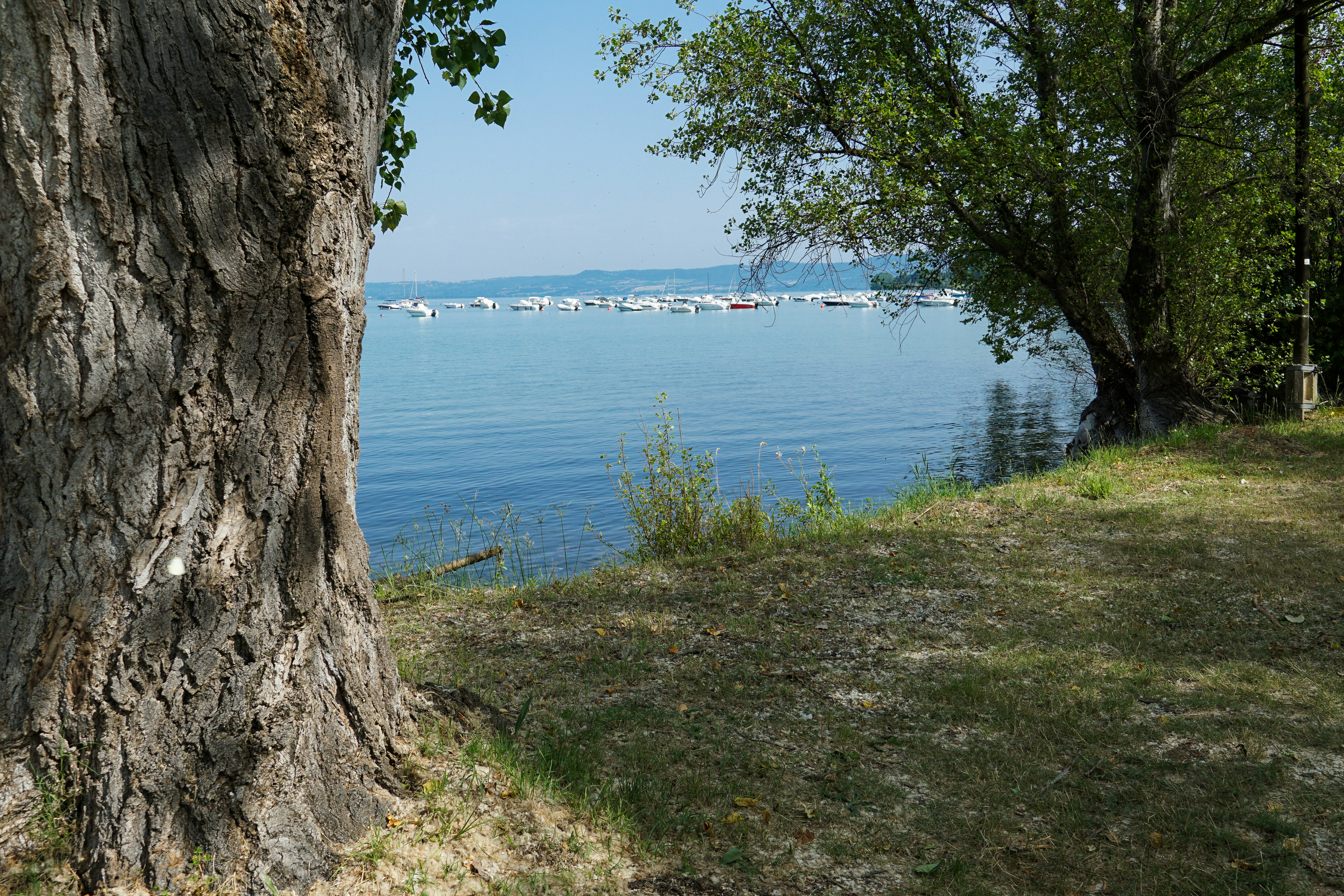 Photo by klaus20