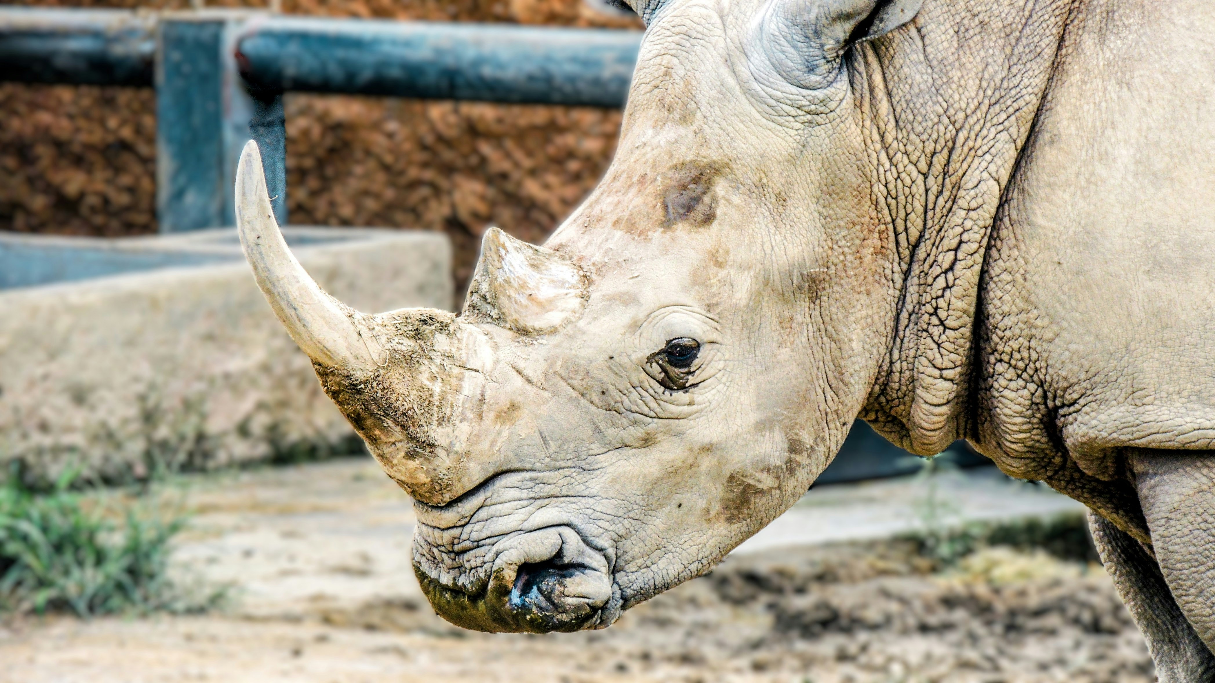 Photo by citywildlens